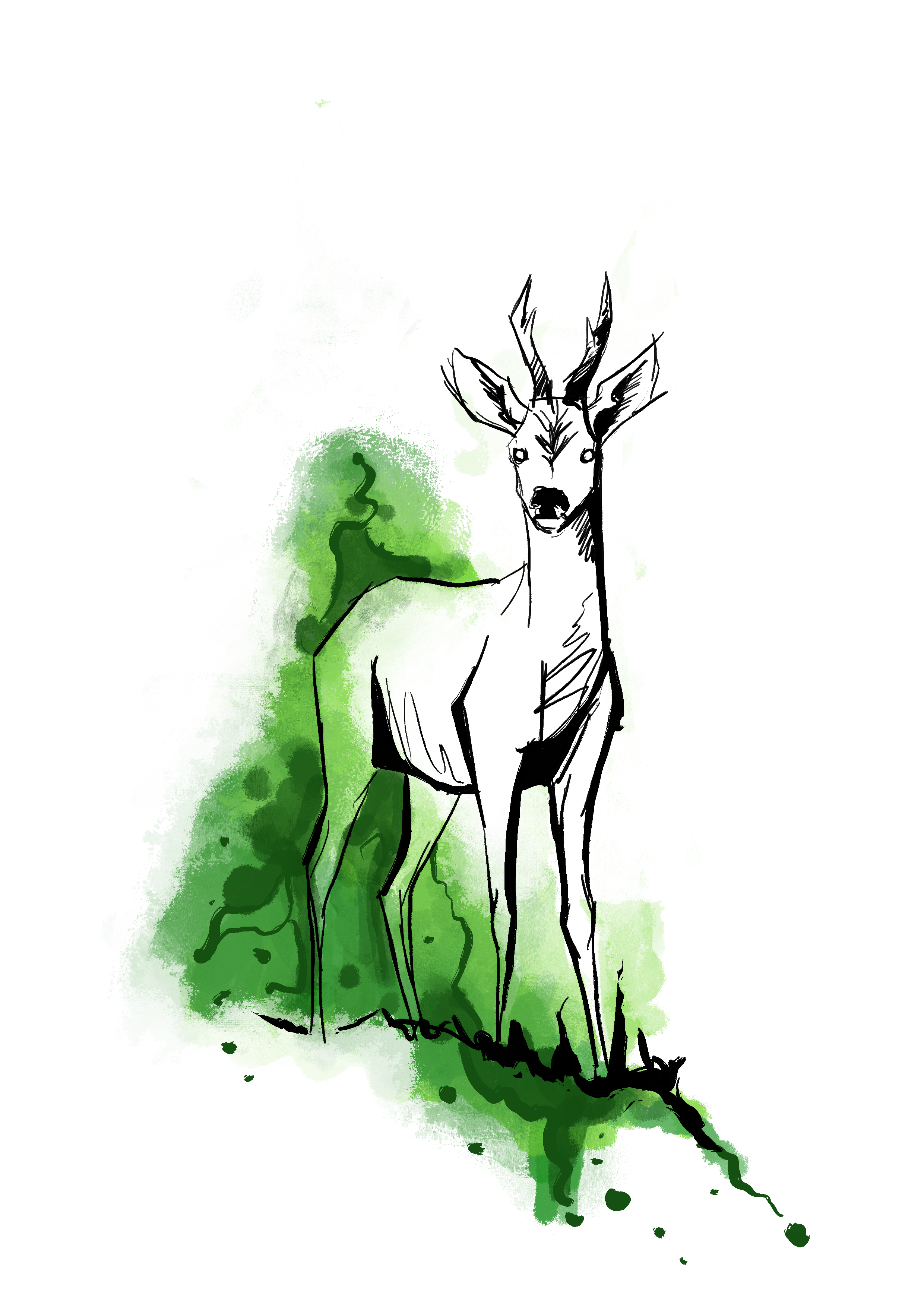 Eine Illustration von einer grünen Landschaft mit Bäumen und Weg, im Vordergrund ein Rehbock 