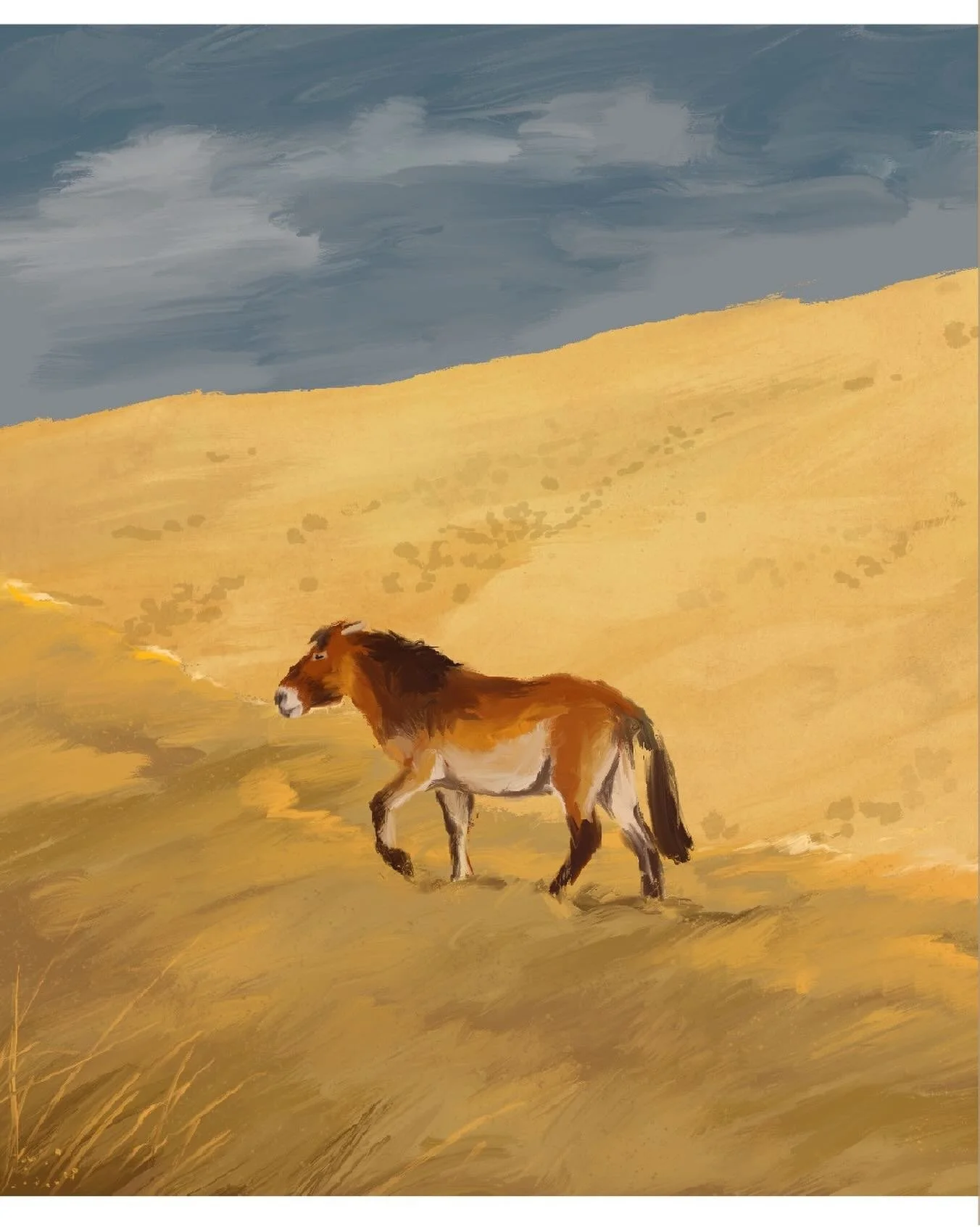 Fields of Gold - hier habe ich mal wieder einen lockeren Stil mit digitalen Pinseln versucht. Gef&auml;llt mir sehr gut, ich werde demn&auml;chst mehr damit probieren!
#horsepainting #animalpainting #art #digitalart