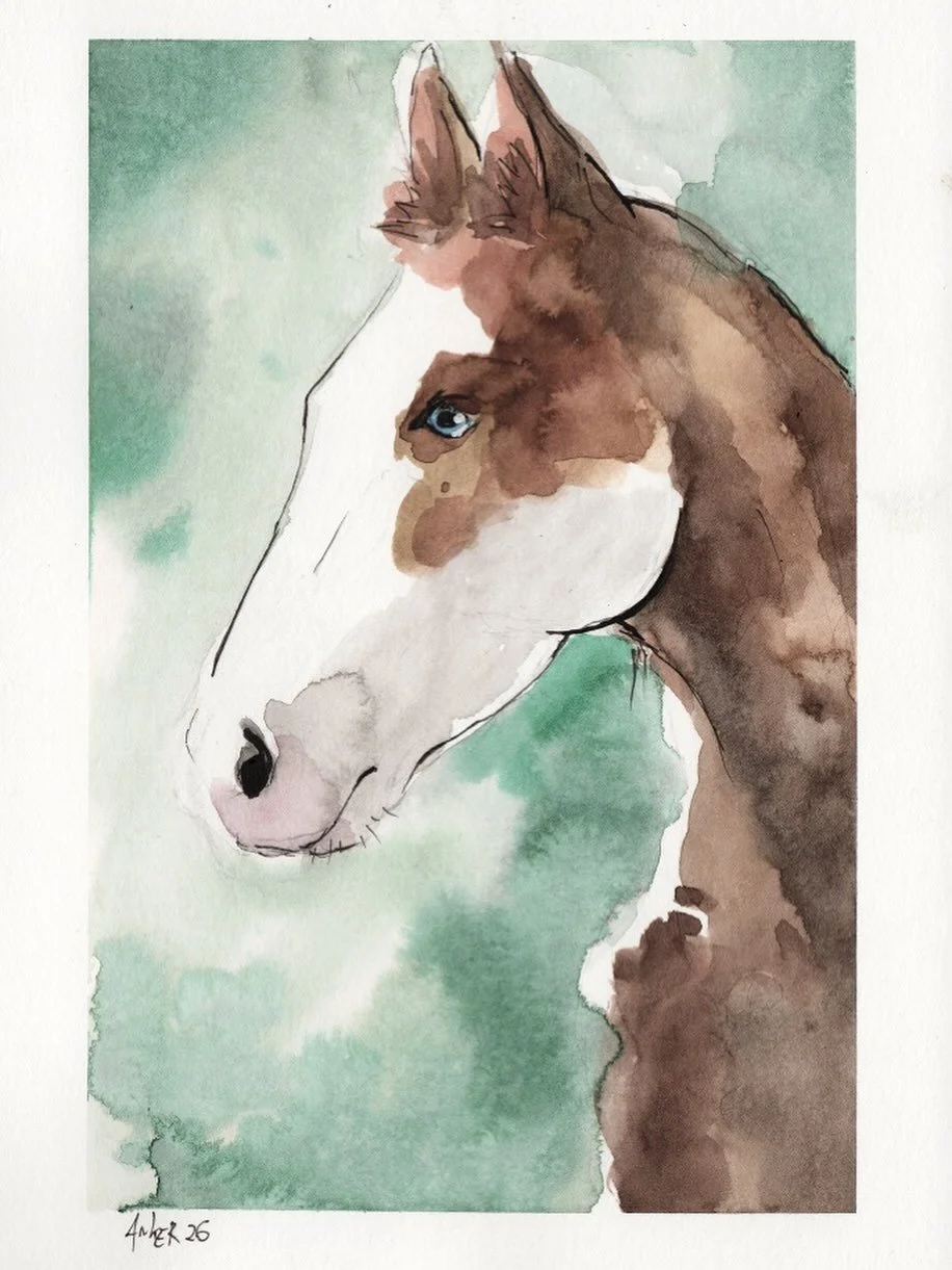Anfang des Monats war wieder unser Zeichnertreff in Duisburg, da ist dieses Bild entstanden 😌 
#pinto #horseart #watercolorpainting #animalpainting #petportrait
