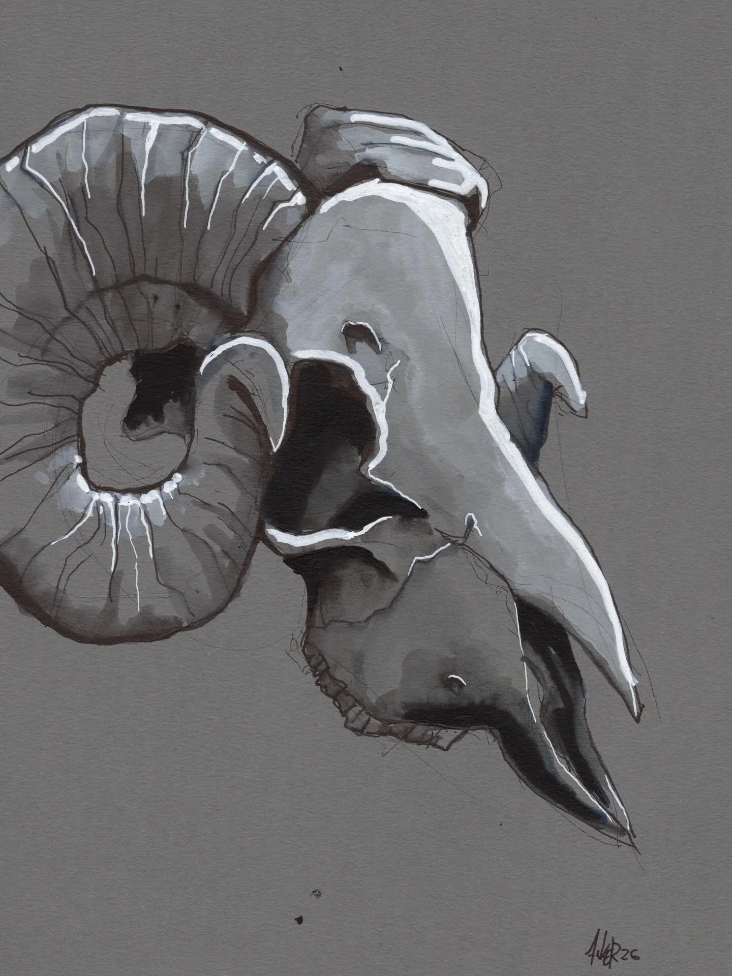 Vom letzten Zeichnertreff, weil Sch&auml;del 😬
#skull #ramskull #instaart #sketch