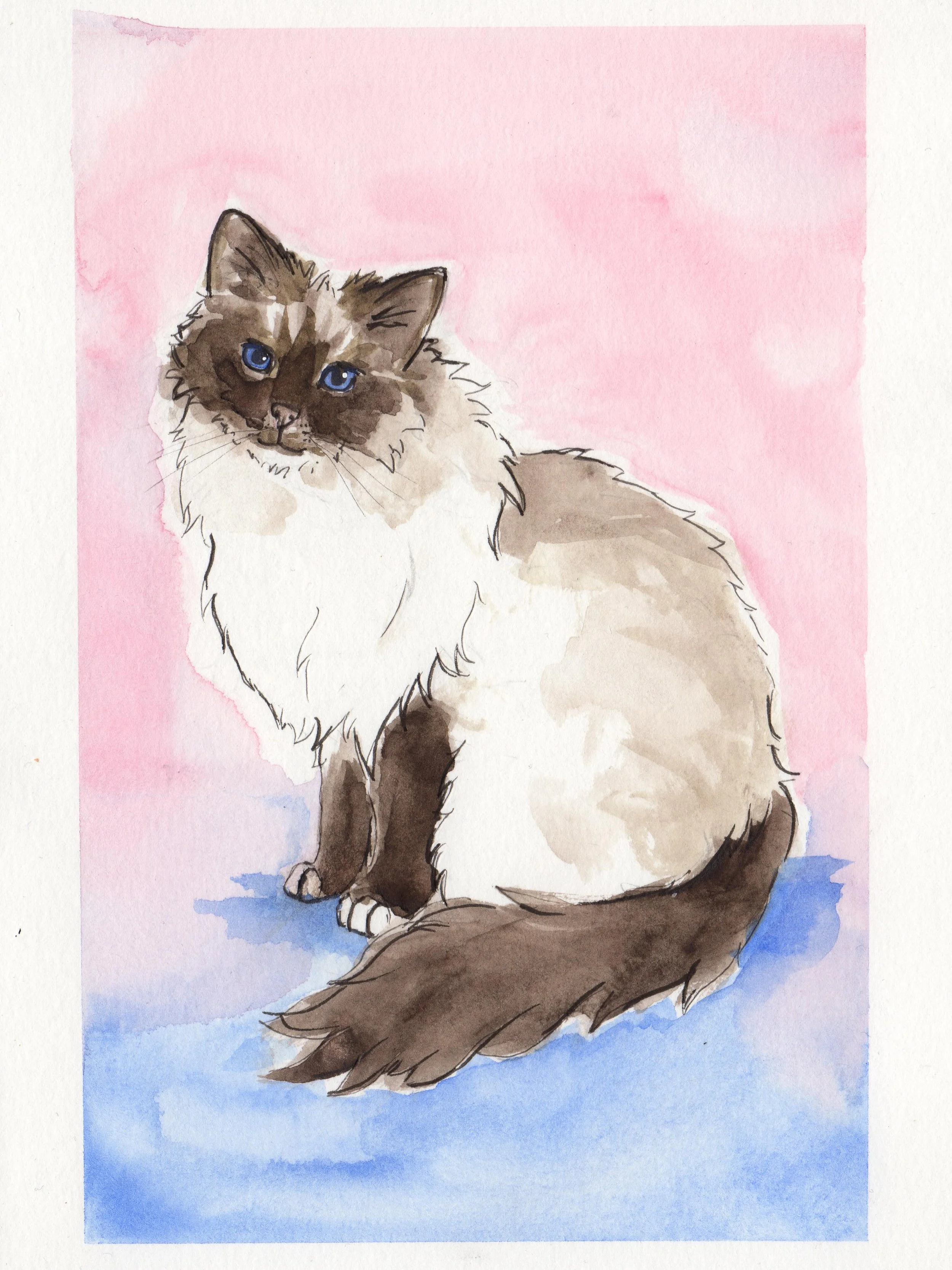 Diese Katze durfte ich als Auftragsarbeit malen, sie ist so s&uuml;&szlig; 🥺
#petportrait #haustierportrait #aquarelle #cat #katzenkunst