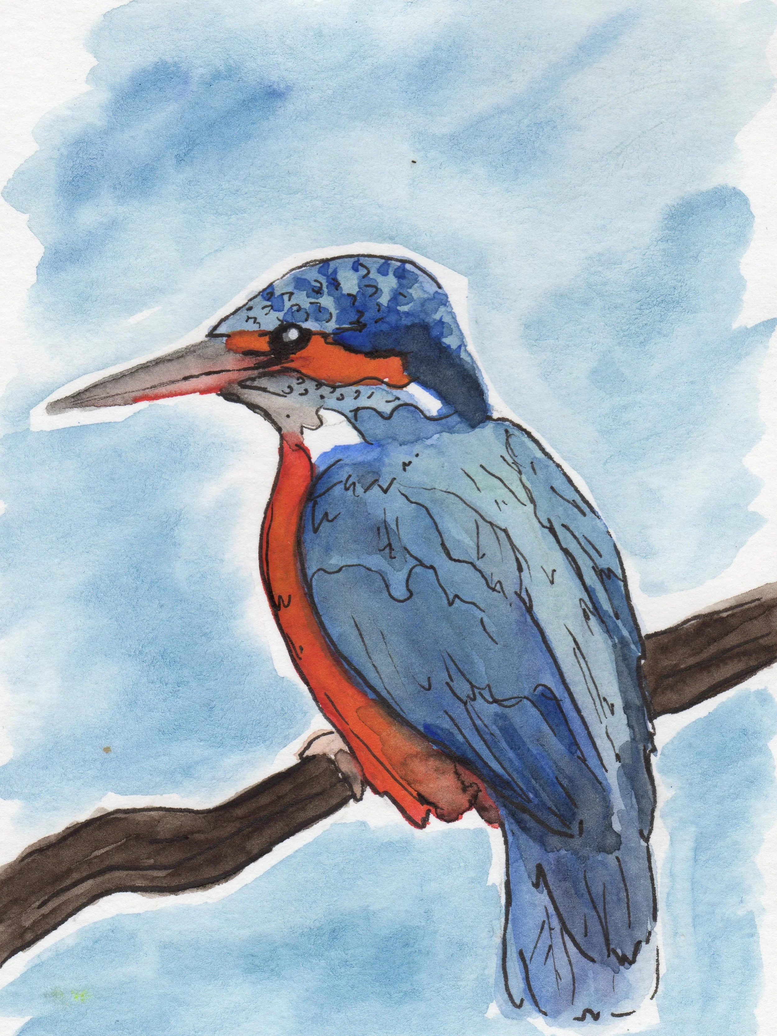 Und hier einer meiner Lieblingsdinos. Naja, ein moderner halt 😉 Ich war sehr happy diesen Vogel das erste Mal in Kroatien letztes Jahr in echt zu sehen. 😊
#eisvogel #wildlifeart #watercolor