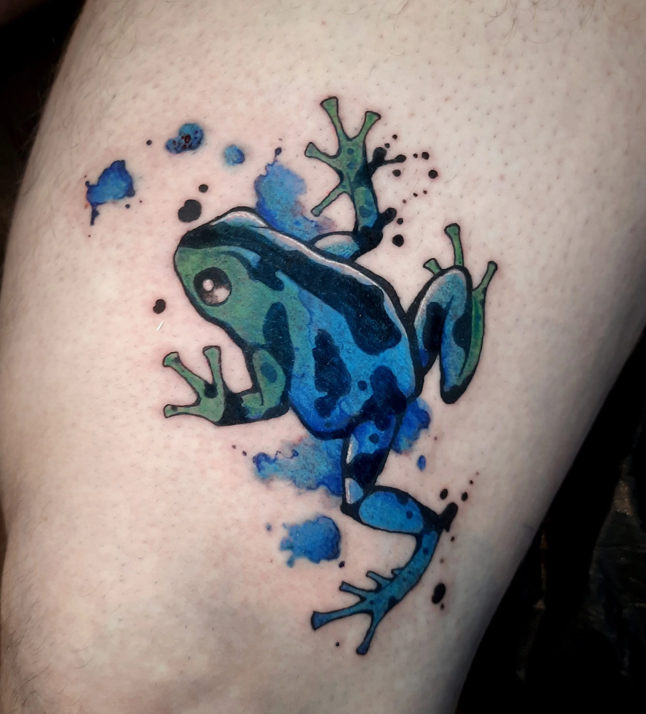 Tattoofrosch.jpg
