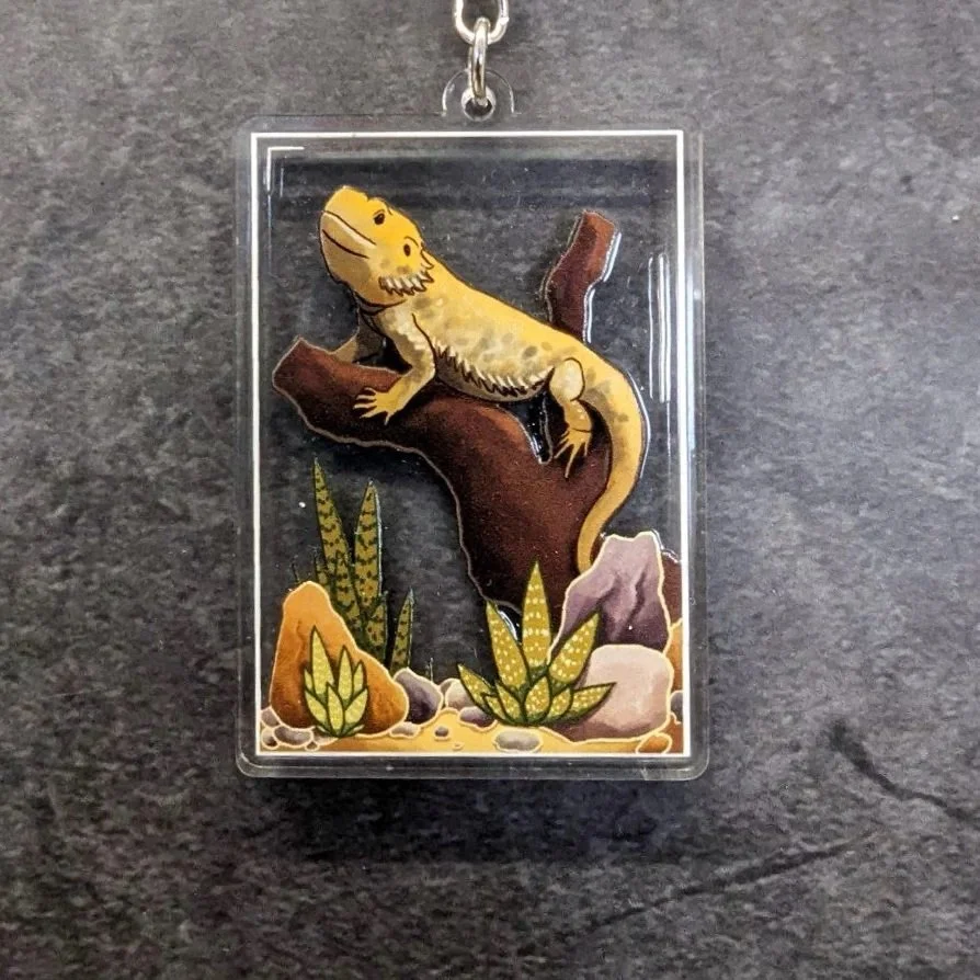Terrarium_Bartagame.jpg