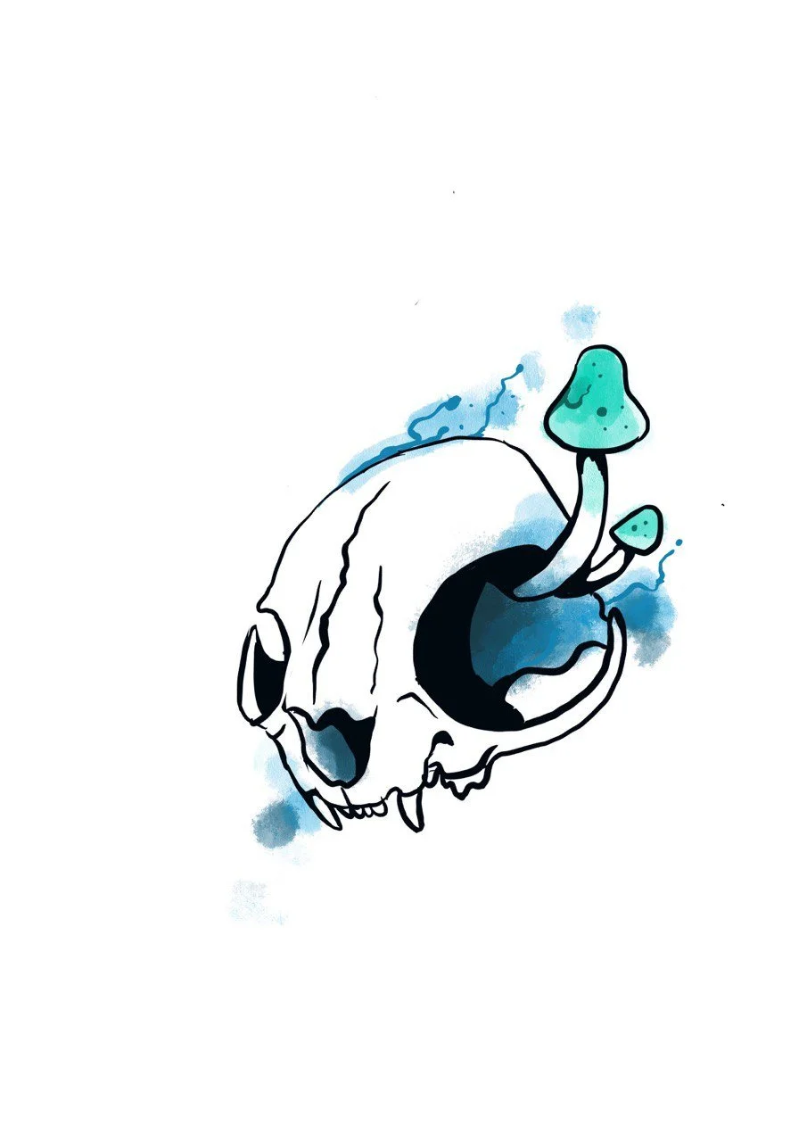 Skizzierte Illustration eines Tierknochens mit einem Pilz, der aus einer der Augenhöhlen wächst.