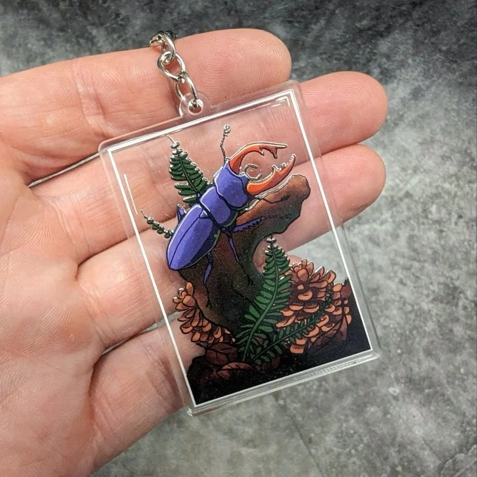 Terrarium_Hirschkäfer.jpg