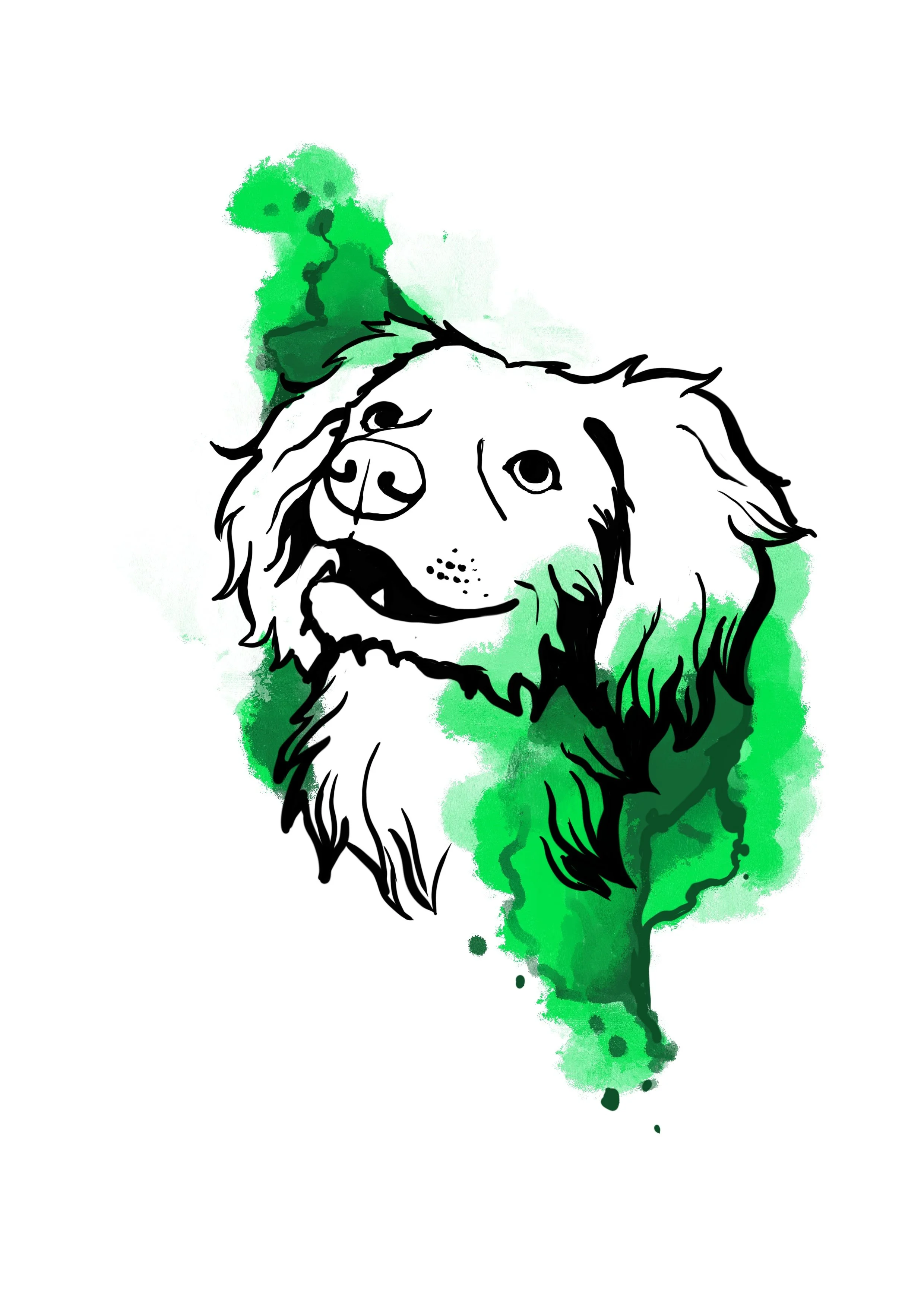 Skizzenhafte Illustration eines Hundes, hauptsächlich in schwarz-weißer Linie, mit grünen Aquarellflecken im Hintergrund.