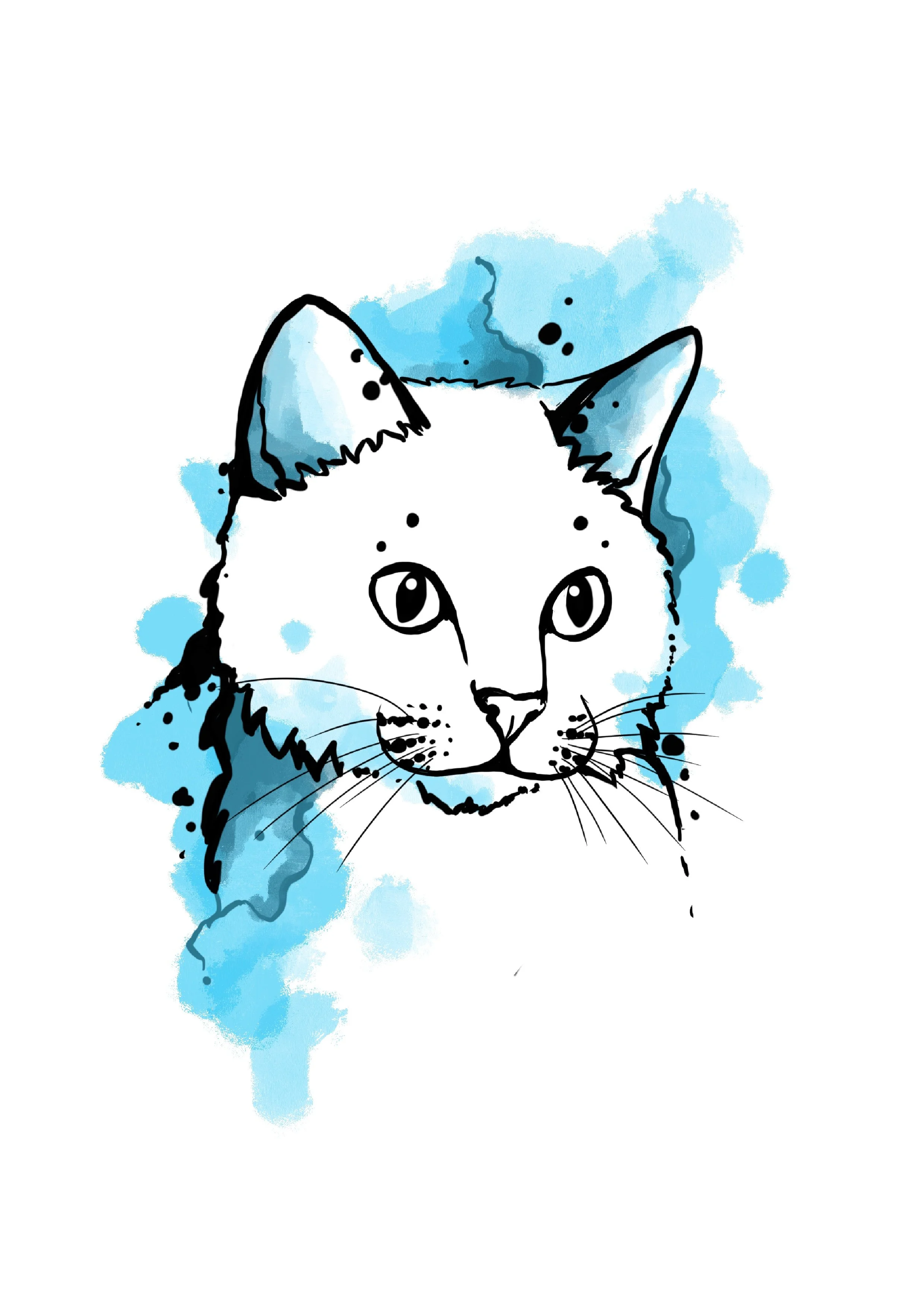 A hand-drawn illustration of a cat's face with blue watercolor splash background.