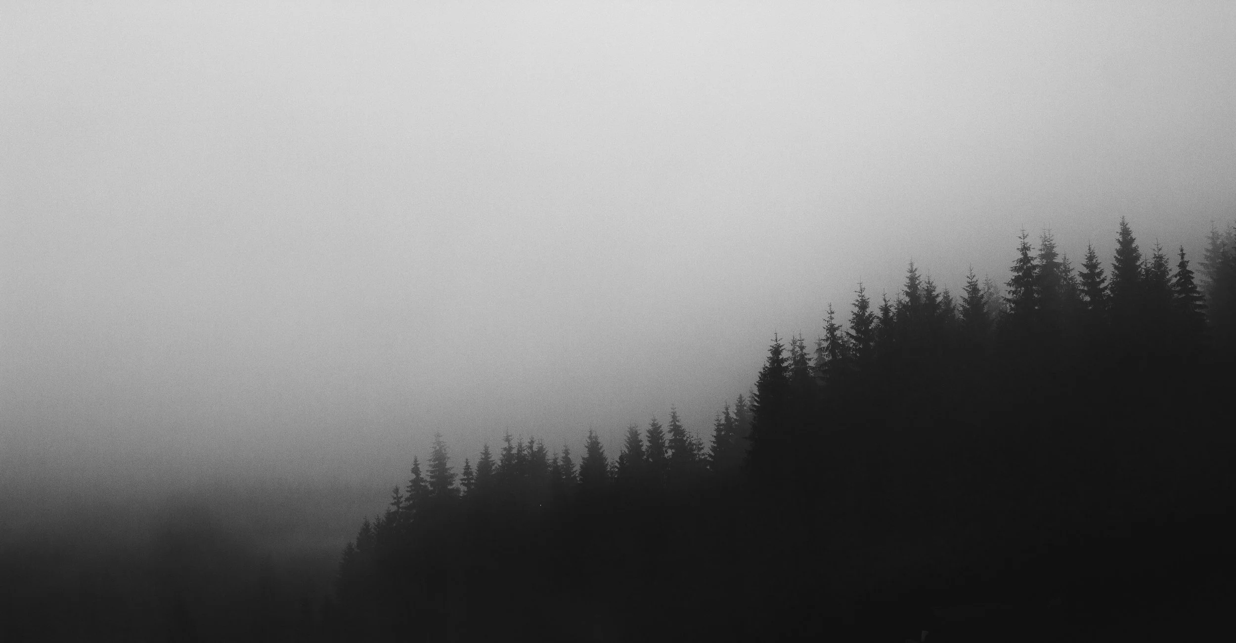 Jon Parratt - Licensing