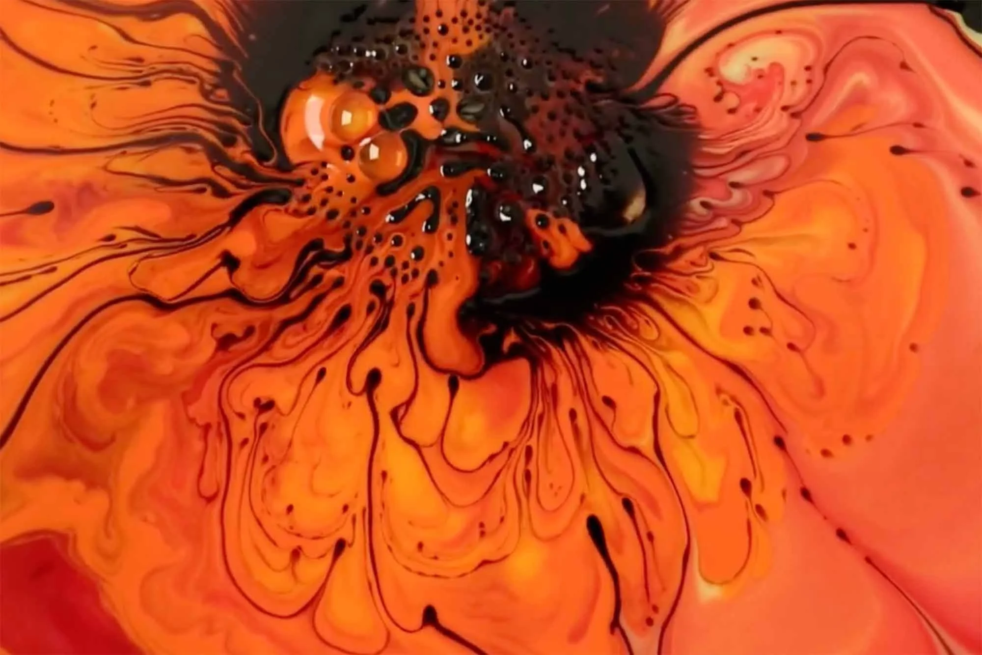 Rainbow Room X Magnatation in Colour Film