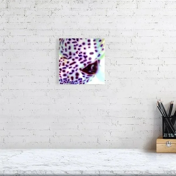 Arothron Stellatus II abstract art print inspired by starry pufferfish markings