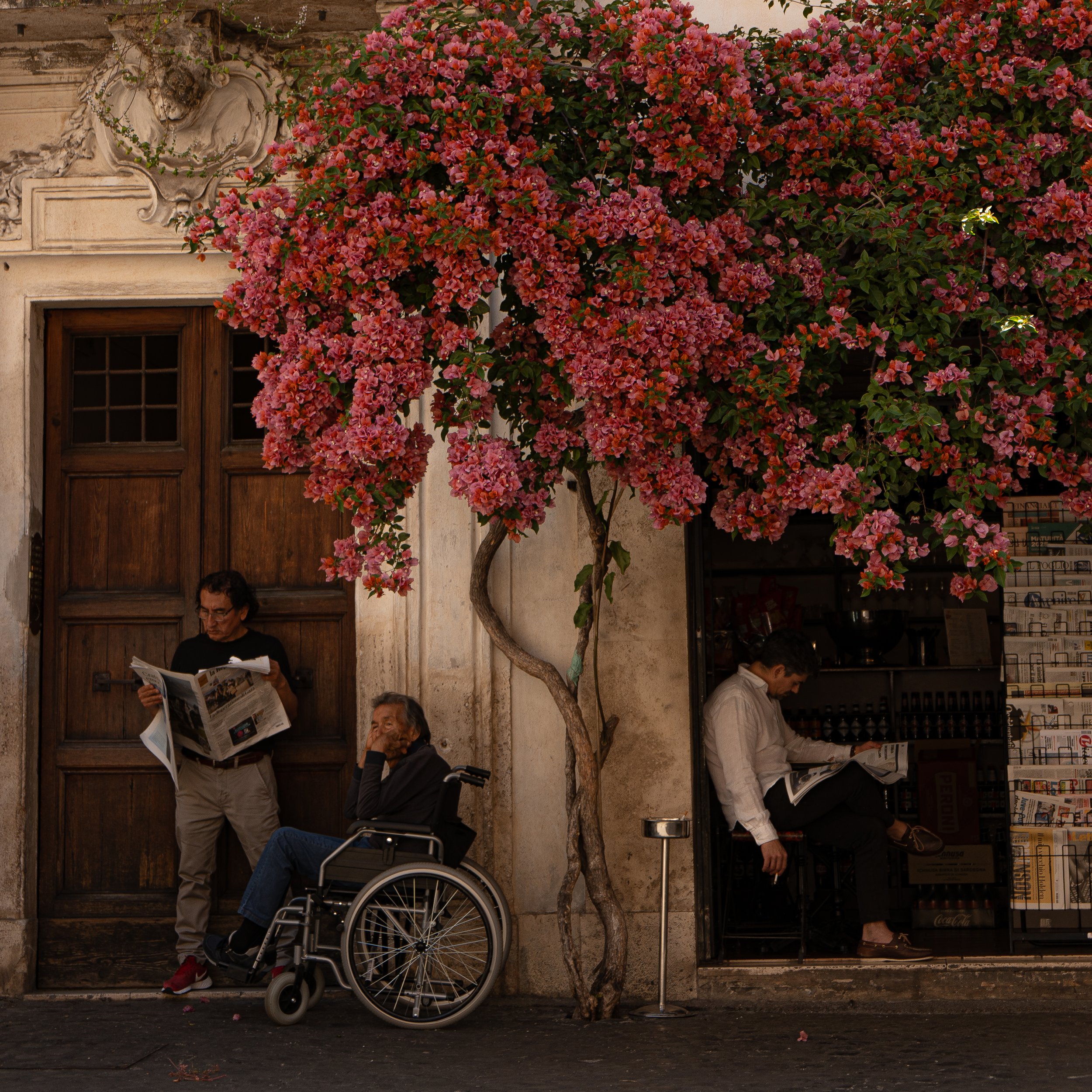 Three men are in front of a building, one man is standing reading a newspaper, an elderly man in a wheelchair is sitting with his hand on his face, and another man is sitting inside a small shop reading a newspaper. A pink flowering tree with lush bl