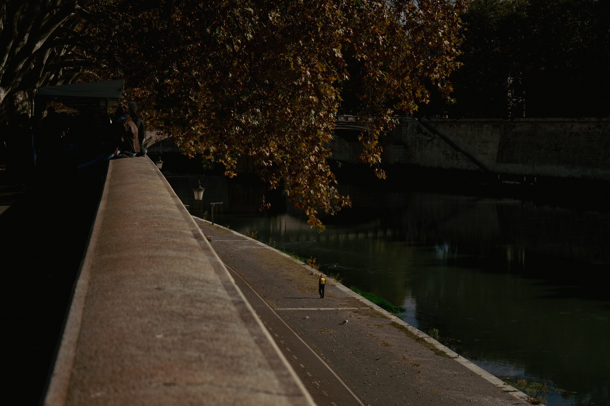 A nighttime view of a person walking along a concrete riverbank with trees and a bridge in the background.