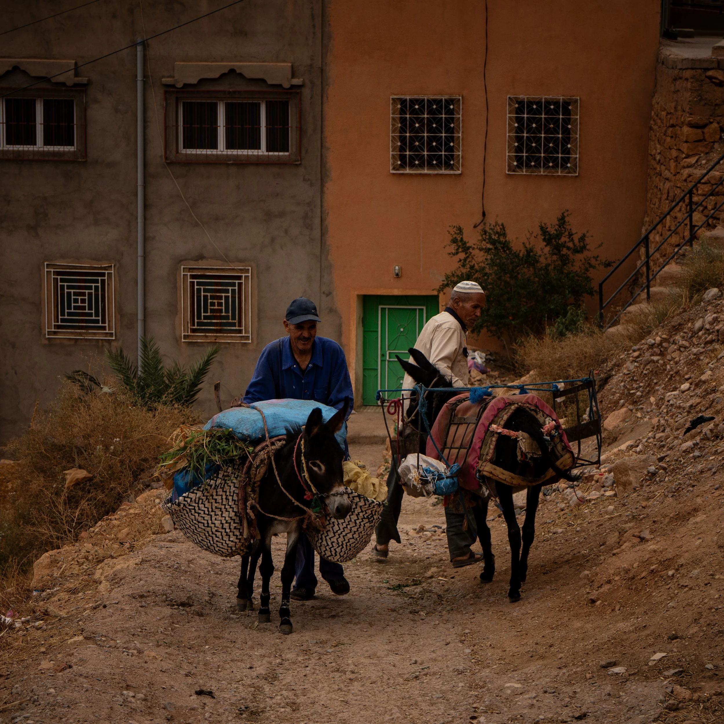 Two men walking donkeys loaded with packs, on a dirt path in front of a building with a green door and textured walls.