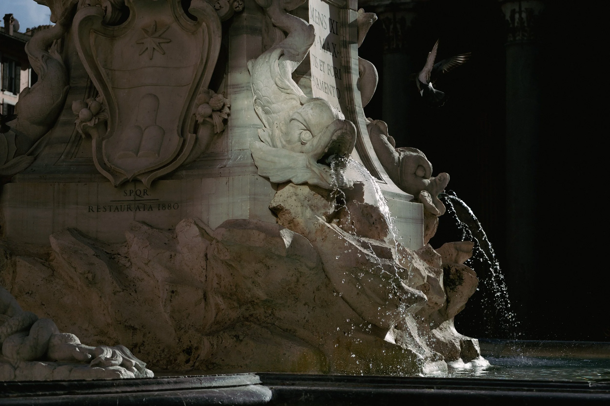 Close-up view of a historic marble fountain with water flowing from the mouth of a carved fish, featuring decorative shields and a Latin inscription, set against a dark background.