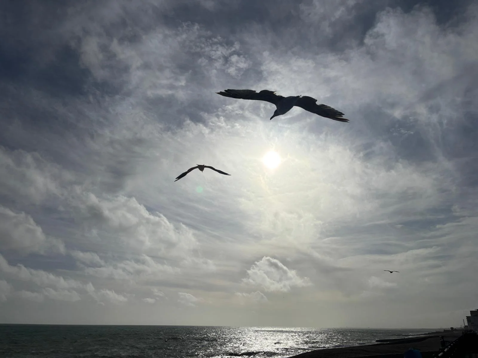Seagulls flying over a calm ocean, representing the clear, structured GCSE English tuition and revision guides that help students aiming for Grades 4–9 secure exam success.