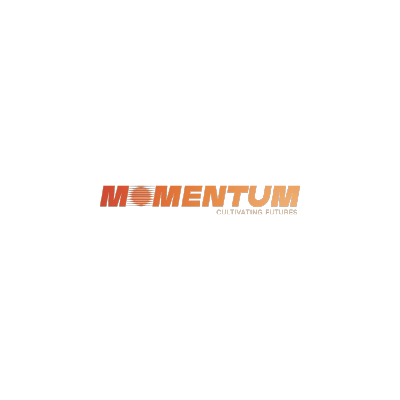 Momentum