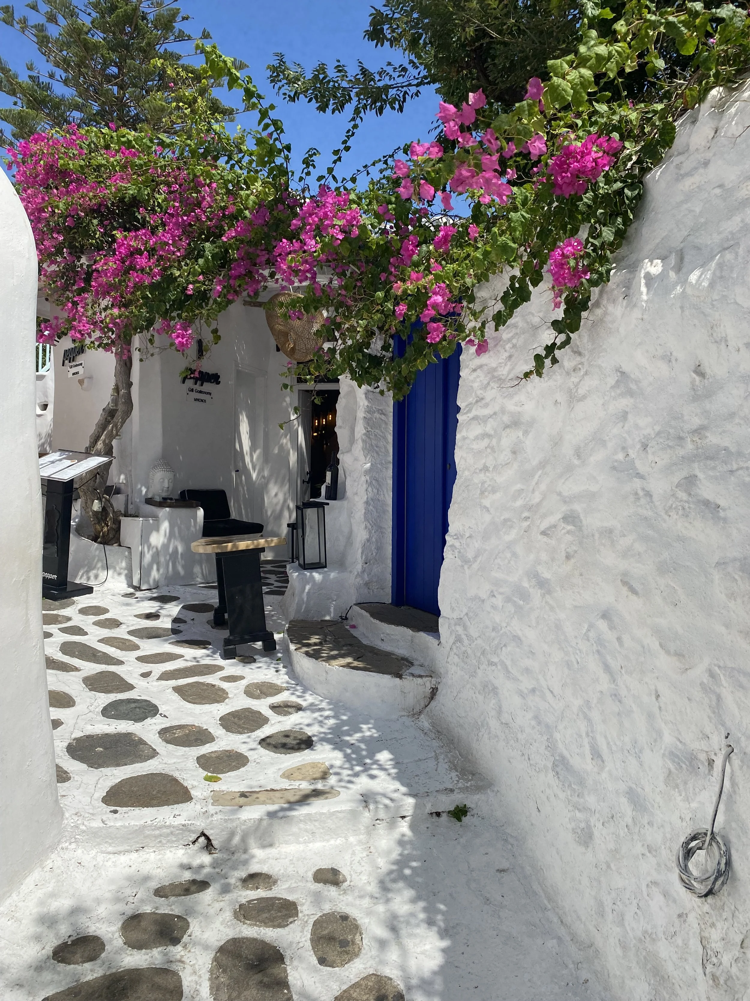 White-washed building with a blue door and Bougainvillea flowers overhead, situated on a cobblestone path in a sunny, Mediterranean setting in Paros Greece