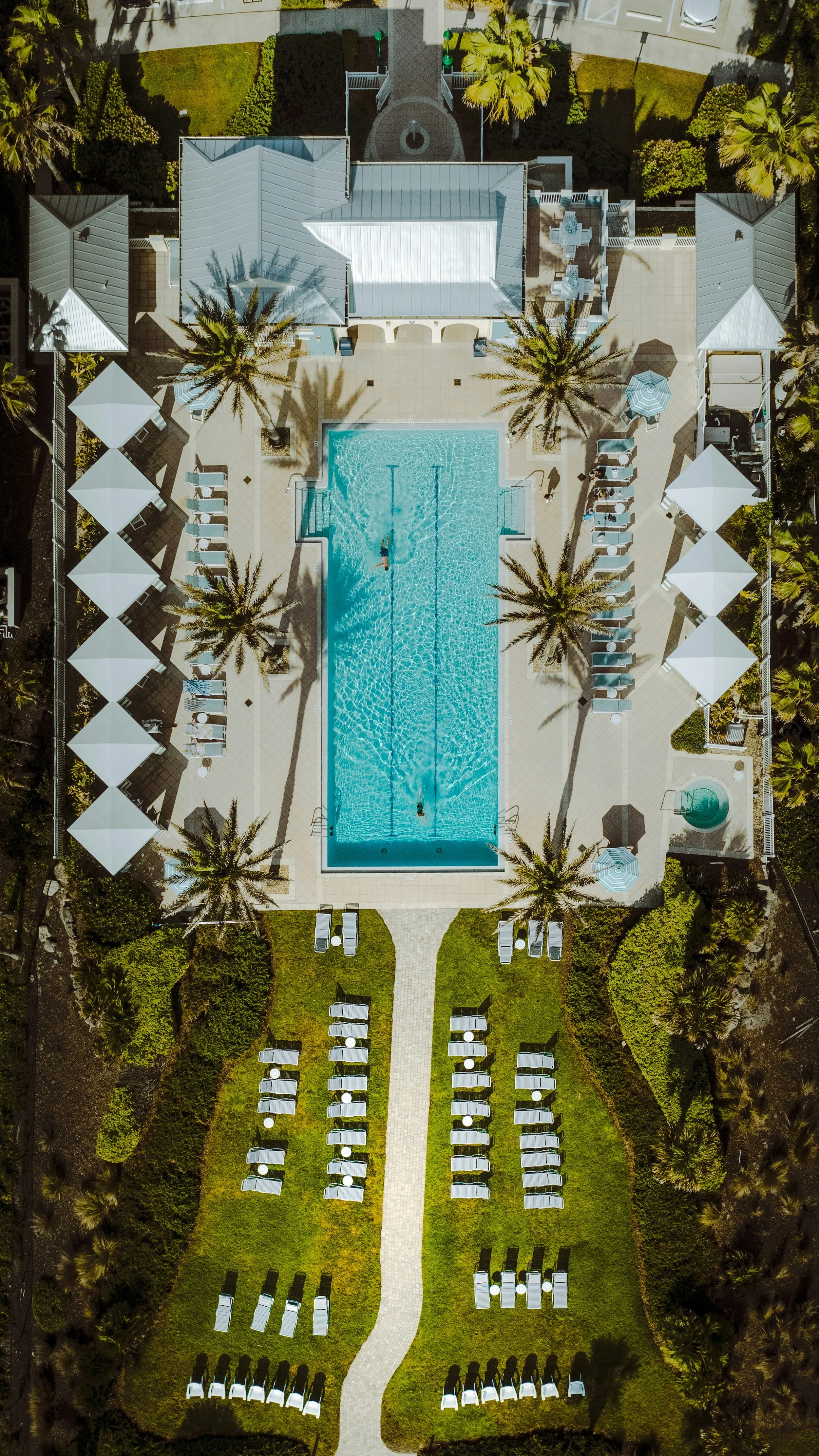 An aerial view of a swimming pool area with lounge chairs, umbrellas, palm trees, and surrounding greenery at a resort or hotel.