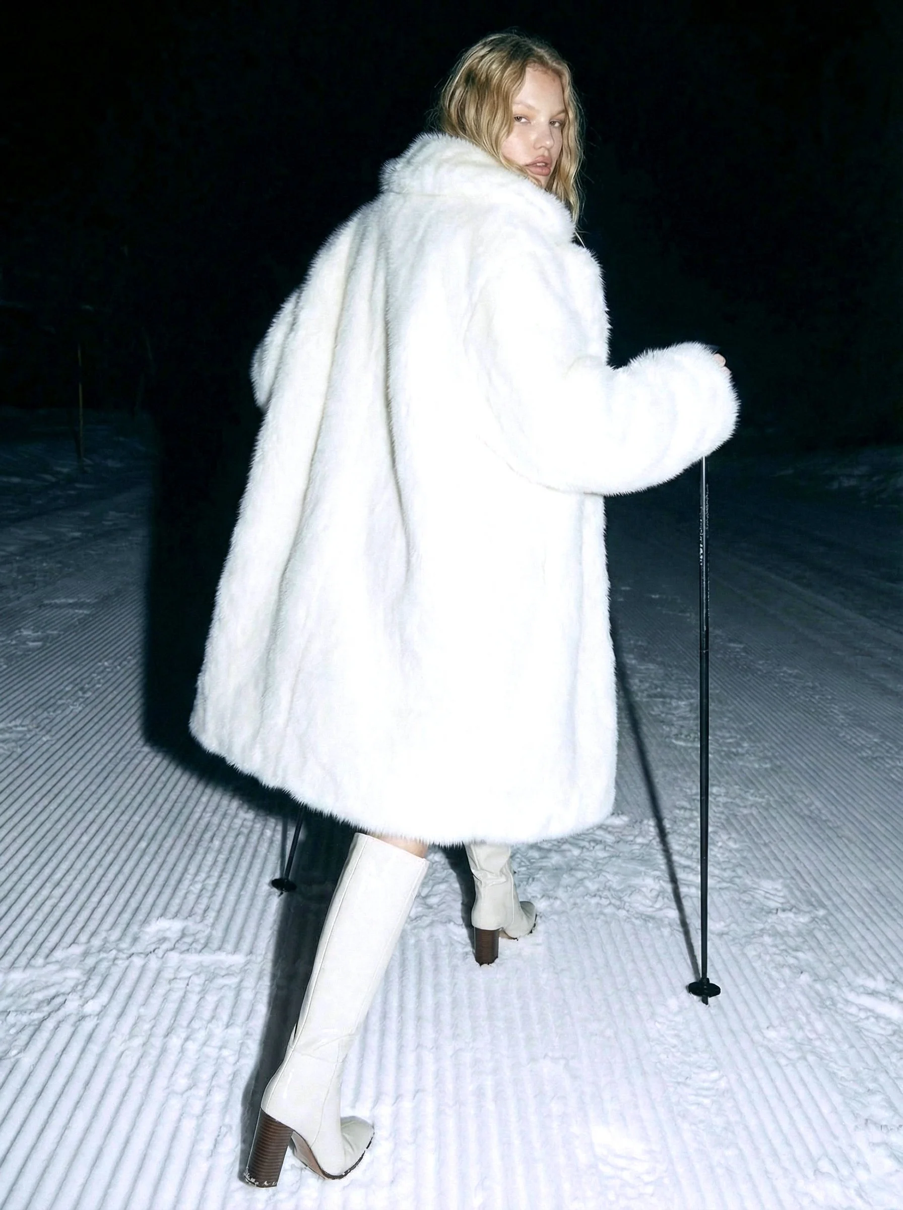 ARCTIC DOMINANCE