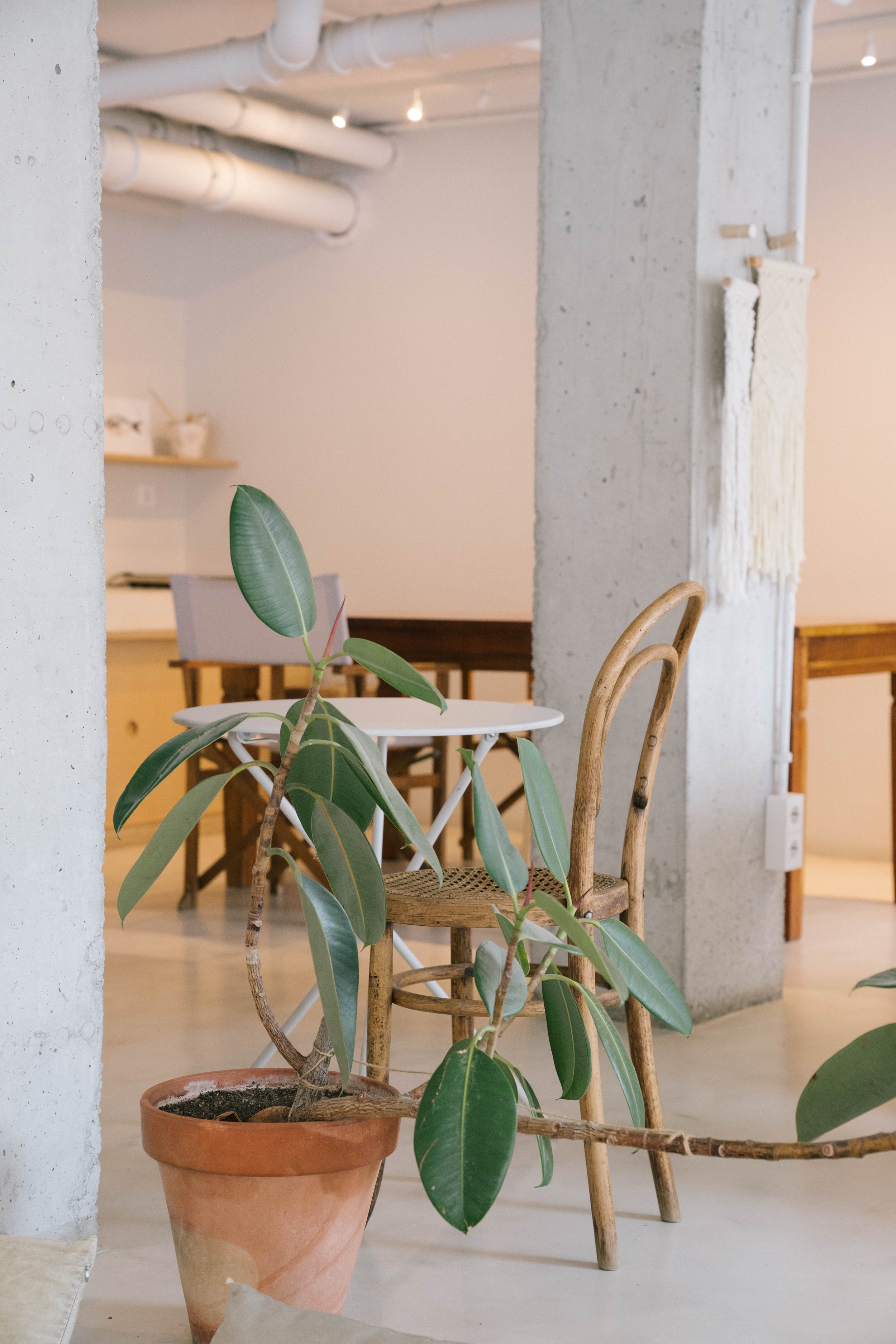 Verde Aceituna-Febrer-4.jpg