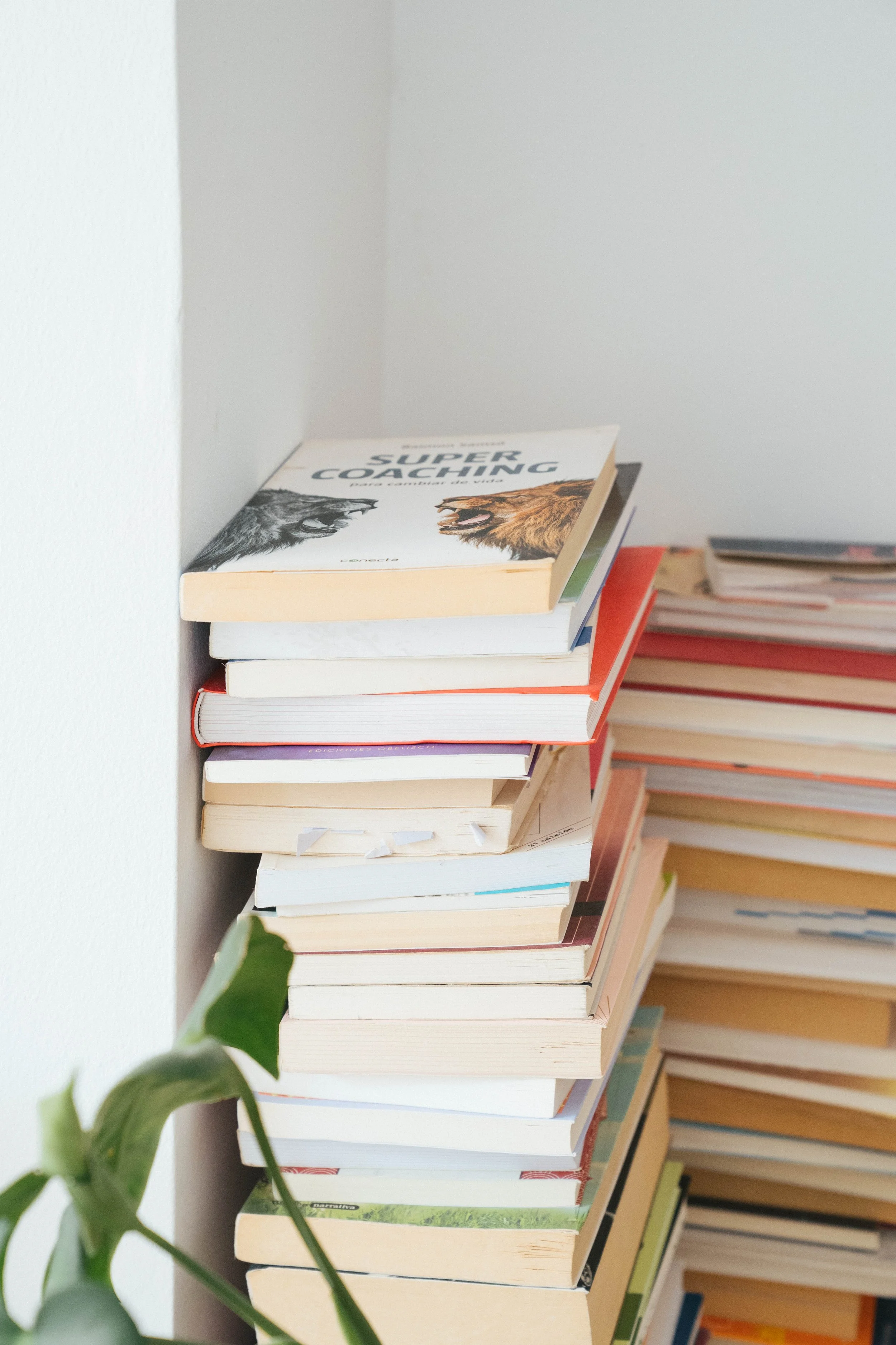 Lola Giardino-17.jpg