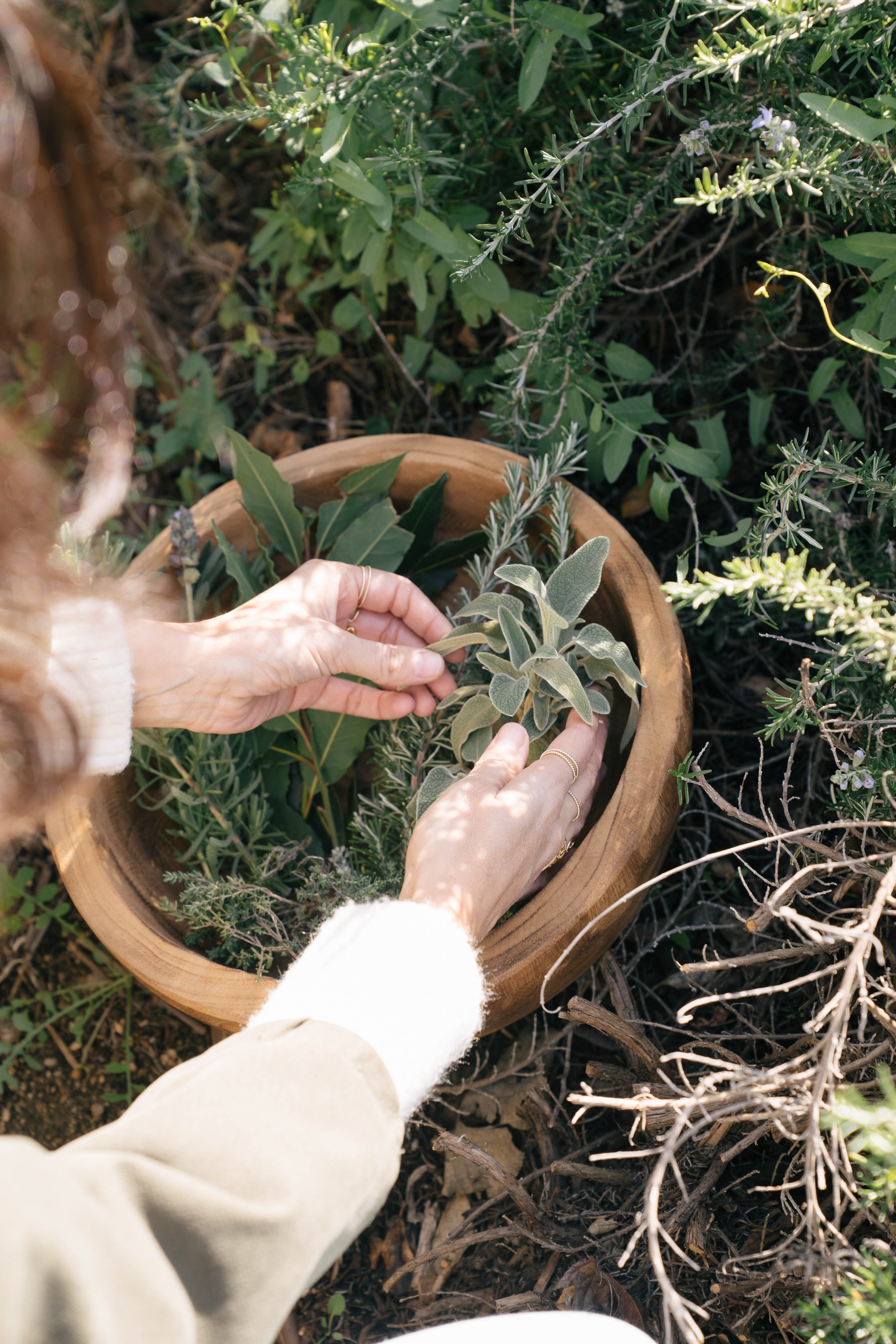 La Tilia-Noviembre-2.jpg