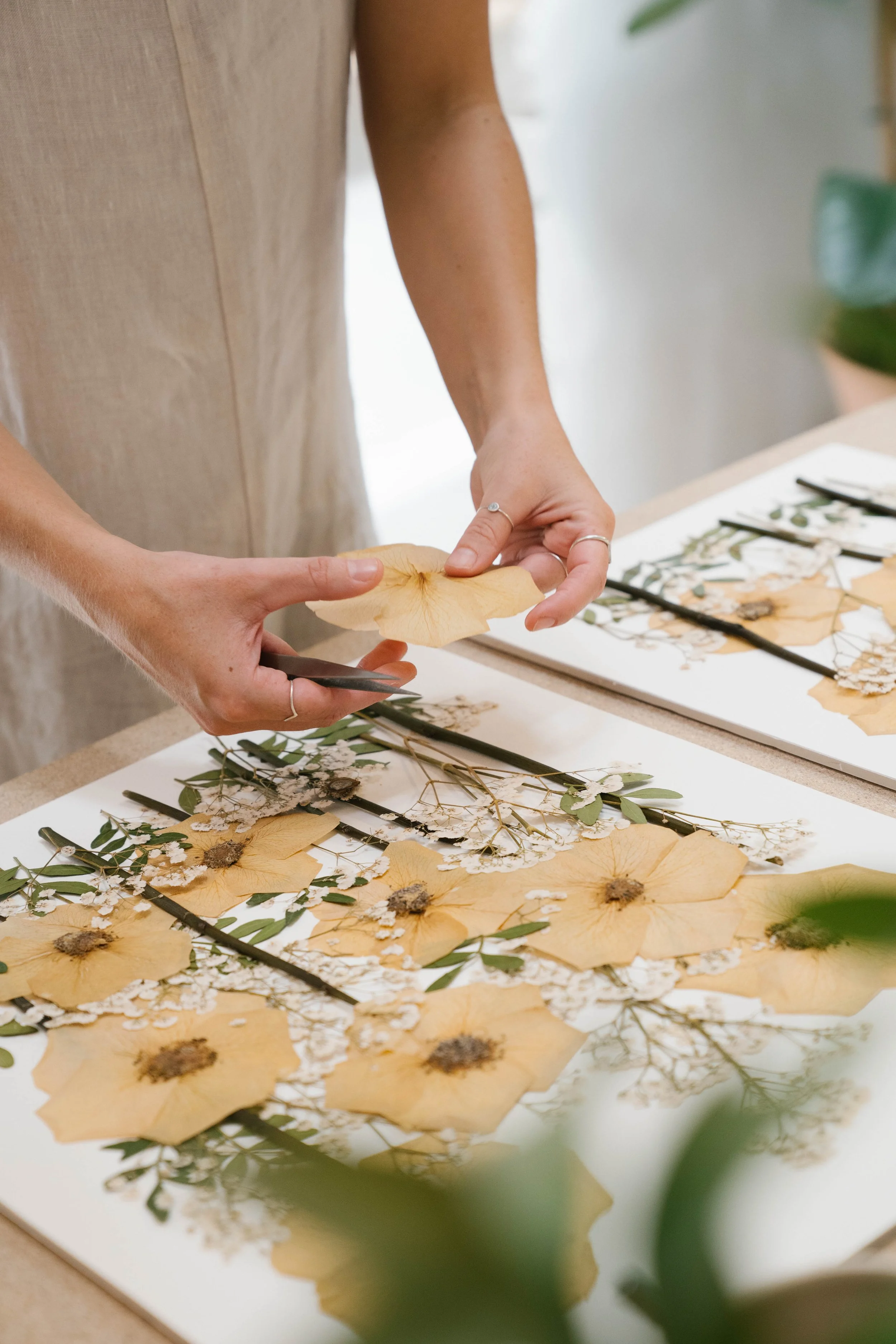 Carabassa Crafts