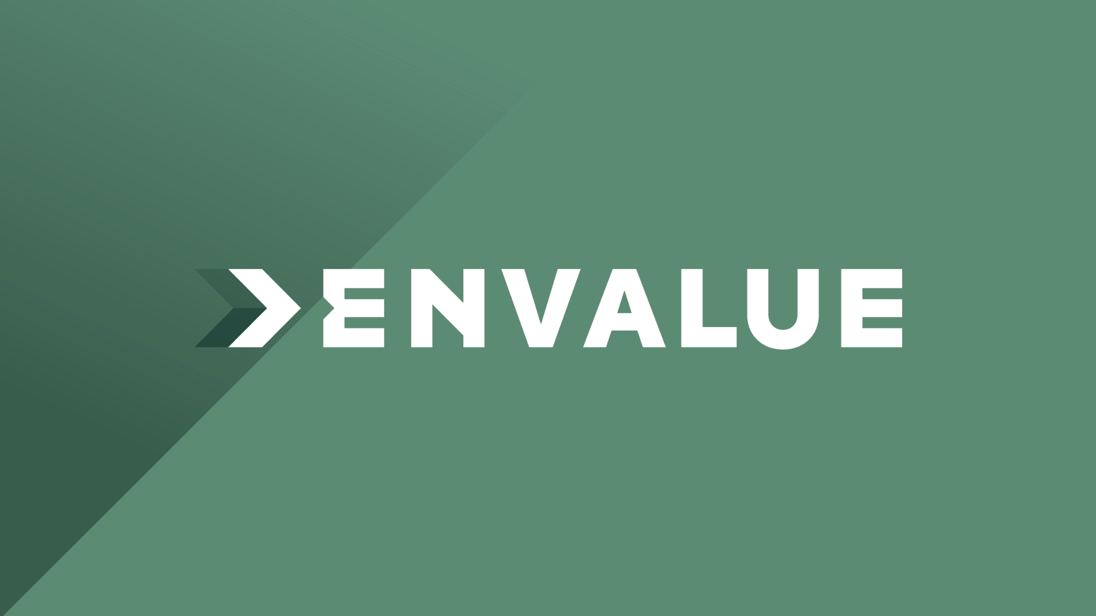 Maak kennis met onze volgende partner: Envalue!