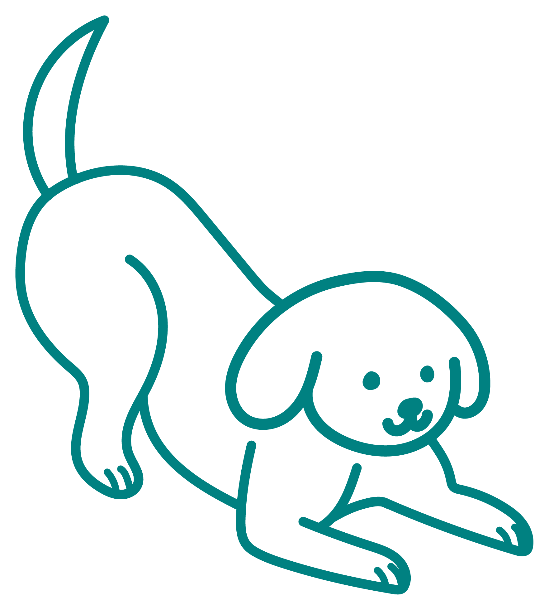 Clear, Upfront Veterinary Pricing | Vet Clinic in East Coast, Siglap