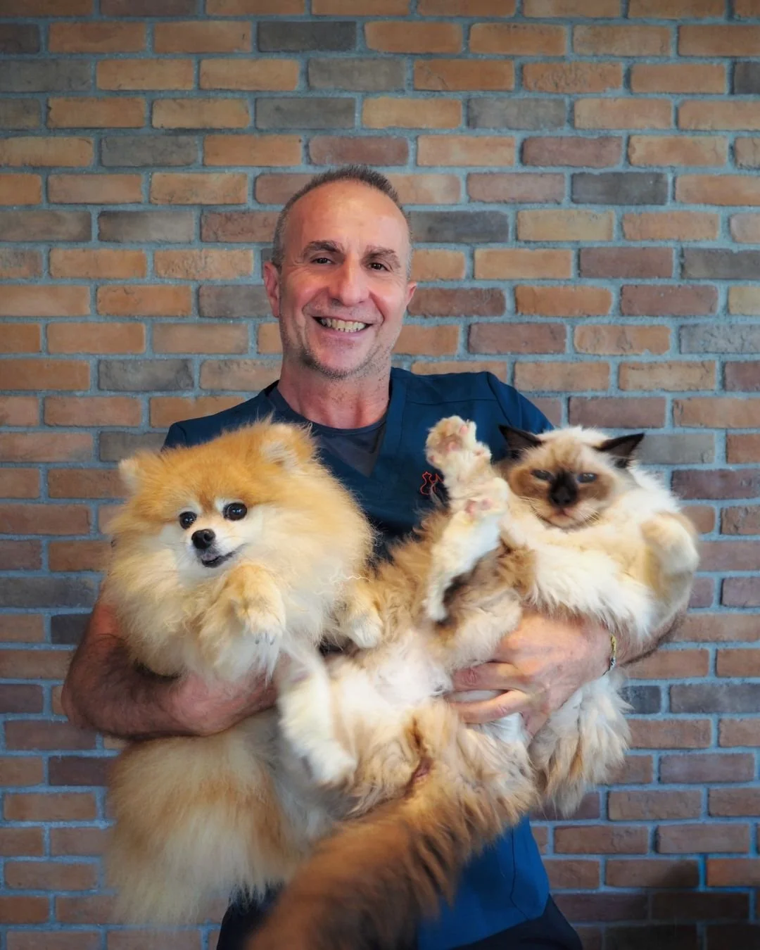 Veterinary Surgeon Dr Gino, Gianuario Marotta | Vet Clinic in East Coast, Siglap