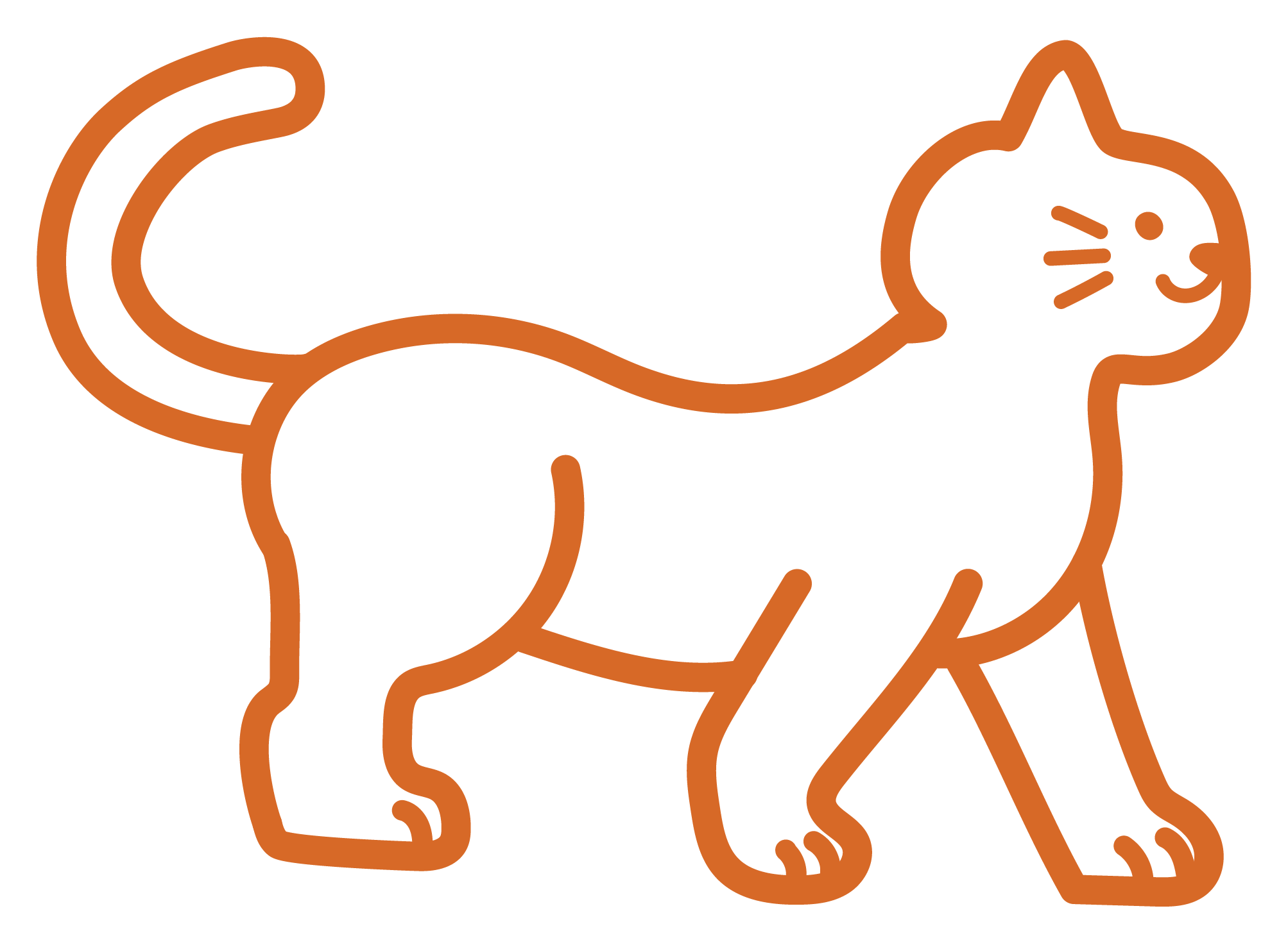 Vets Now Singapore | Vet Clinic in East Coast, Siglap