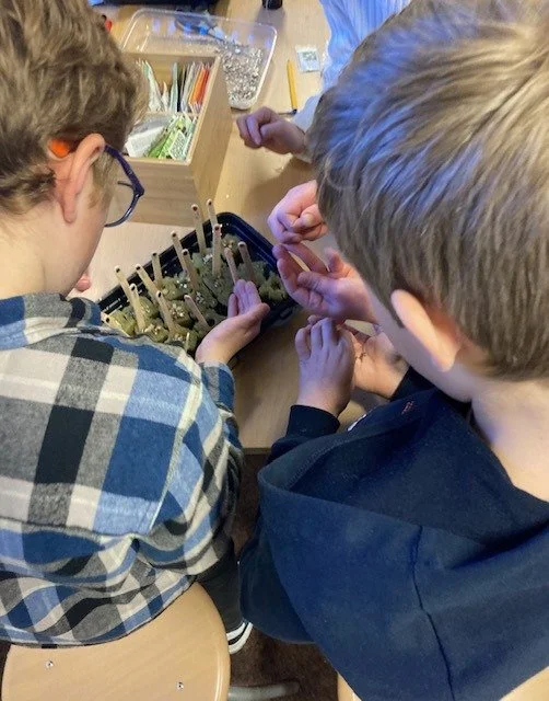 WhatsApp Image 2026-02-05 at 14.12.26.jpeg