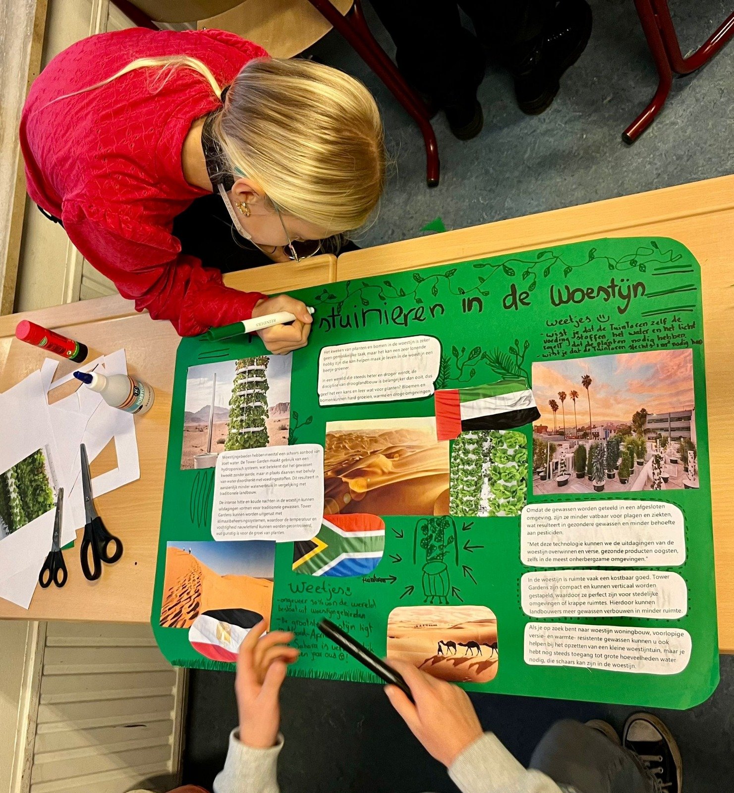 WhatsApp Image 2026-02-05 at 15.18.37.jpeg