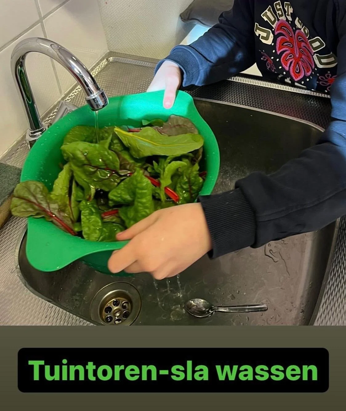 WhatsApp Image 2026-02-05 at 15.32.11 (5).jpeg