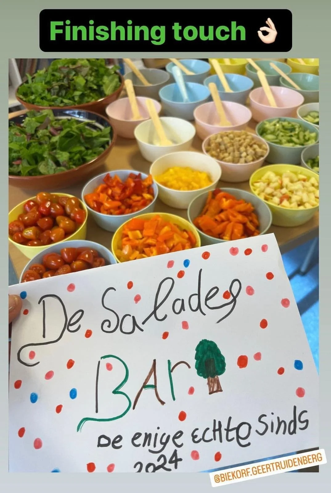 WhatsApp Image 2026-02-05 at 15.32.11 (6).jpeg