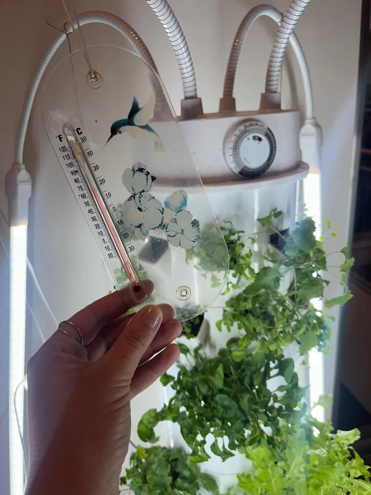 WhatsApp Image 2026-02-05 at 15.32.11.jpeg