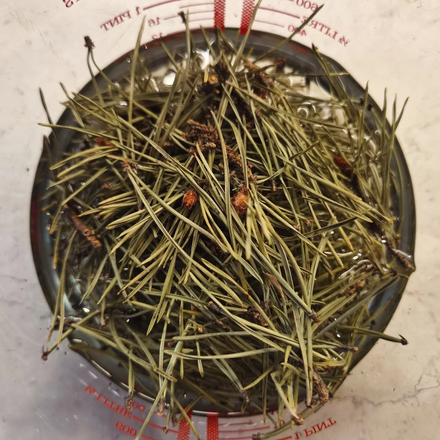 Topping up our Scots Pine lipbalms ahead of @leithfestival tomorrow 🌲🌲

We'll be at Leith Links all day, find us near the main stage. 

📍Leith Festival Gala Day at Leith Links

🗓 Saturday 13th June

⏰️ 10am - 5pm 

There will loads going on all d