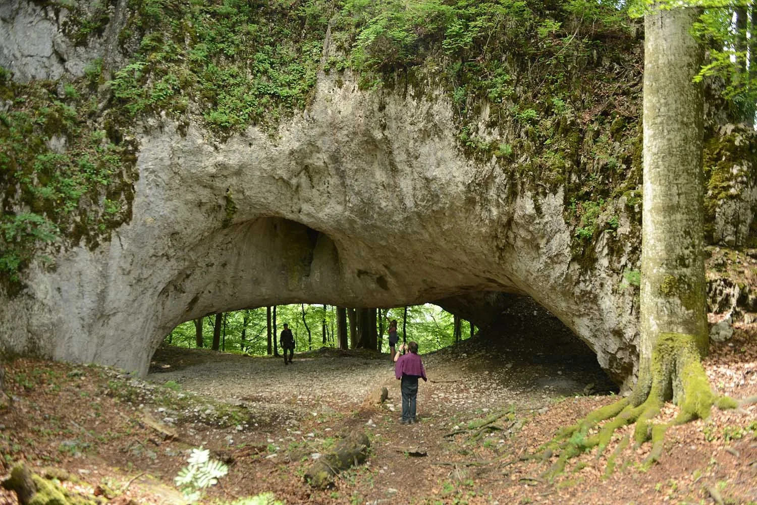 The Hidden Wilderness of Europe