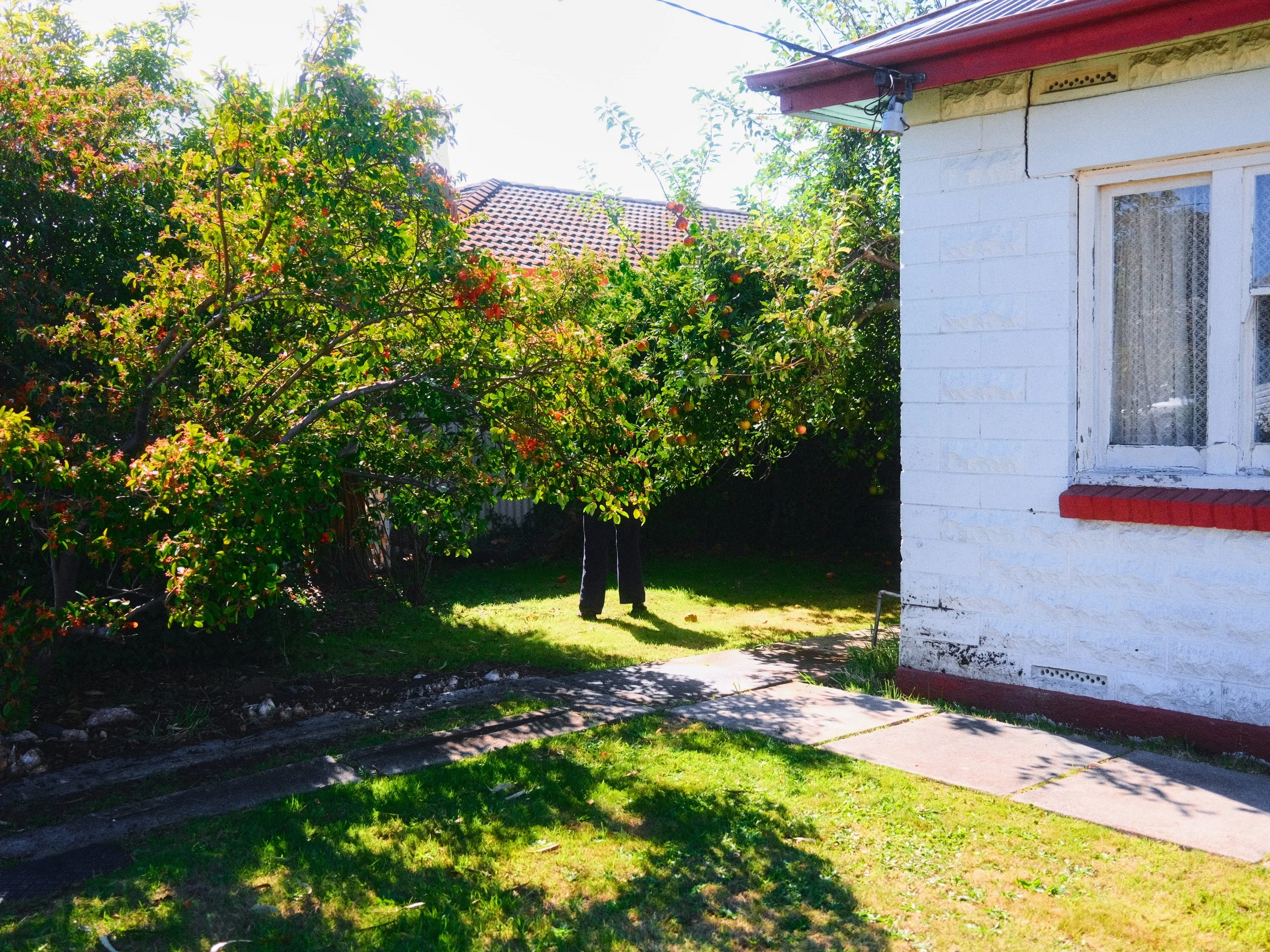 DSCF6658-強化-SR 1.jpg