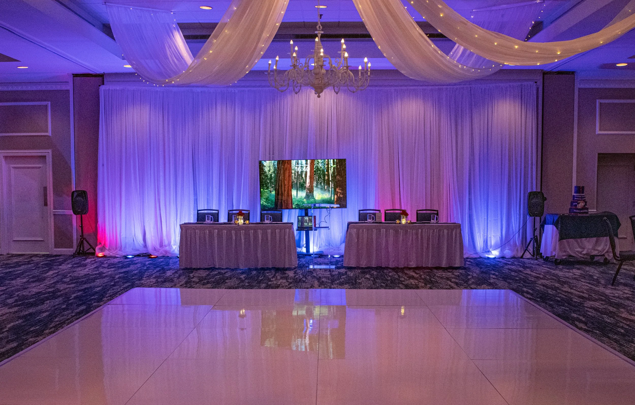 Indoor event space with purple and blue lighting, draped white fabric, a chandelier, a large screen displaying trees, and tables with chairs.