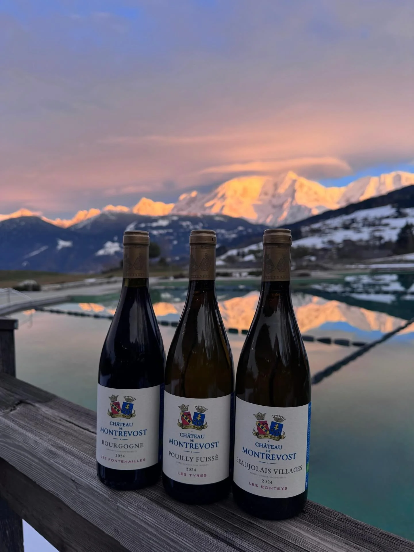 On a du nouveau au restaurant! Nous sommes heureux de collaborer avec les copains du @chateaudemontrevost qui nous ont apport&eacute; ces jolies petites nouveaut&eacute;s venues tout droit de Bourgogne 🍷
&Agrave; d&eacute;guster avec mod&eacute;rati