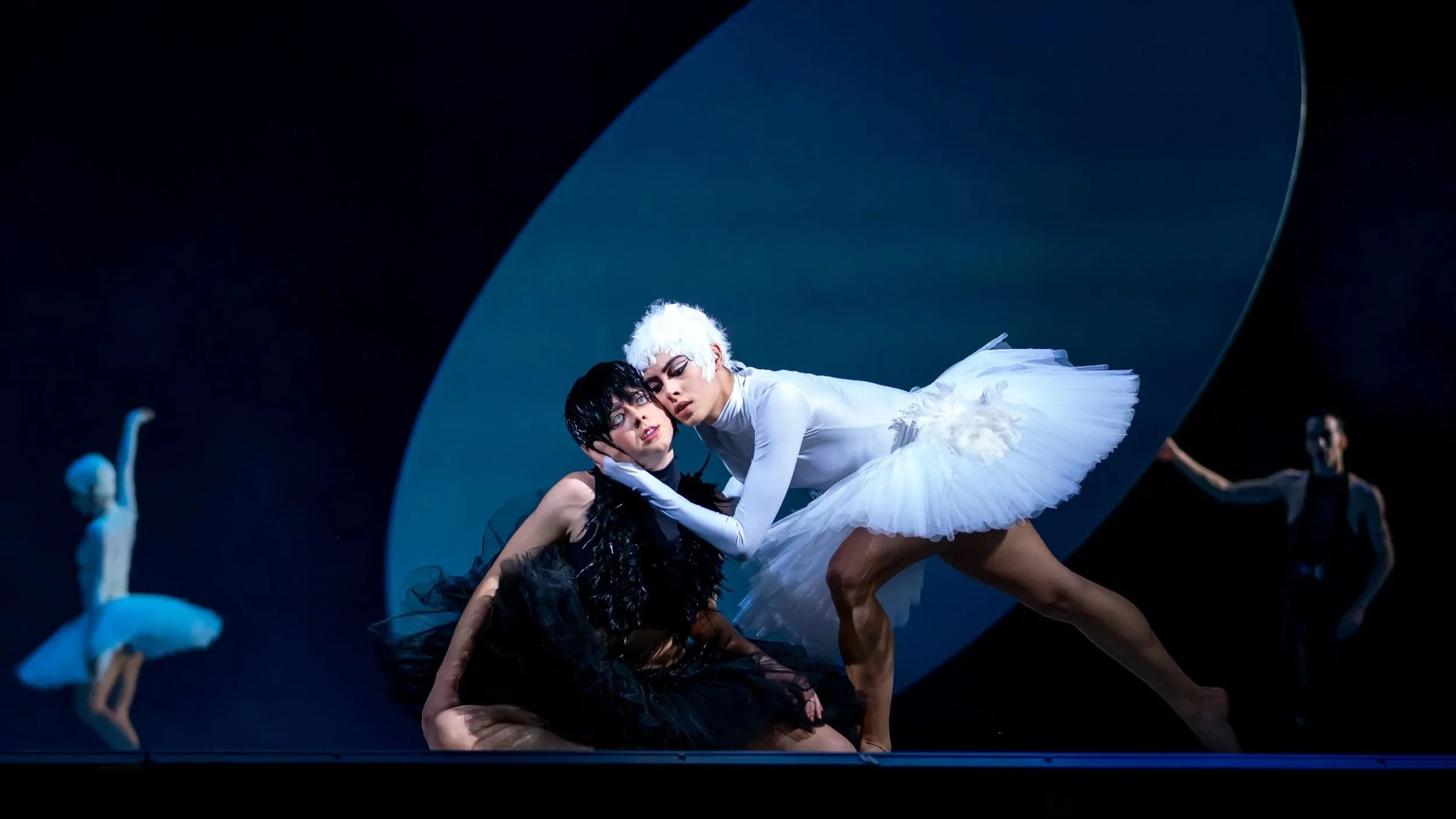 Swanlake