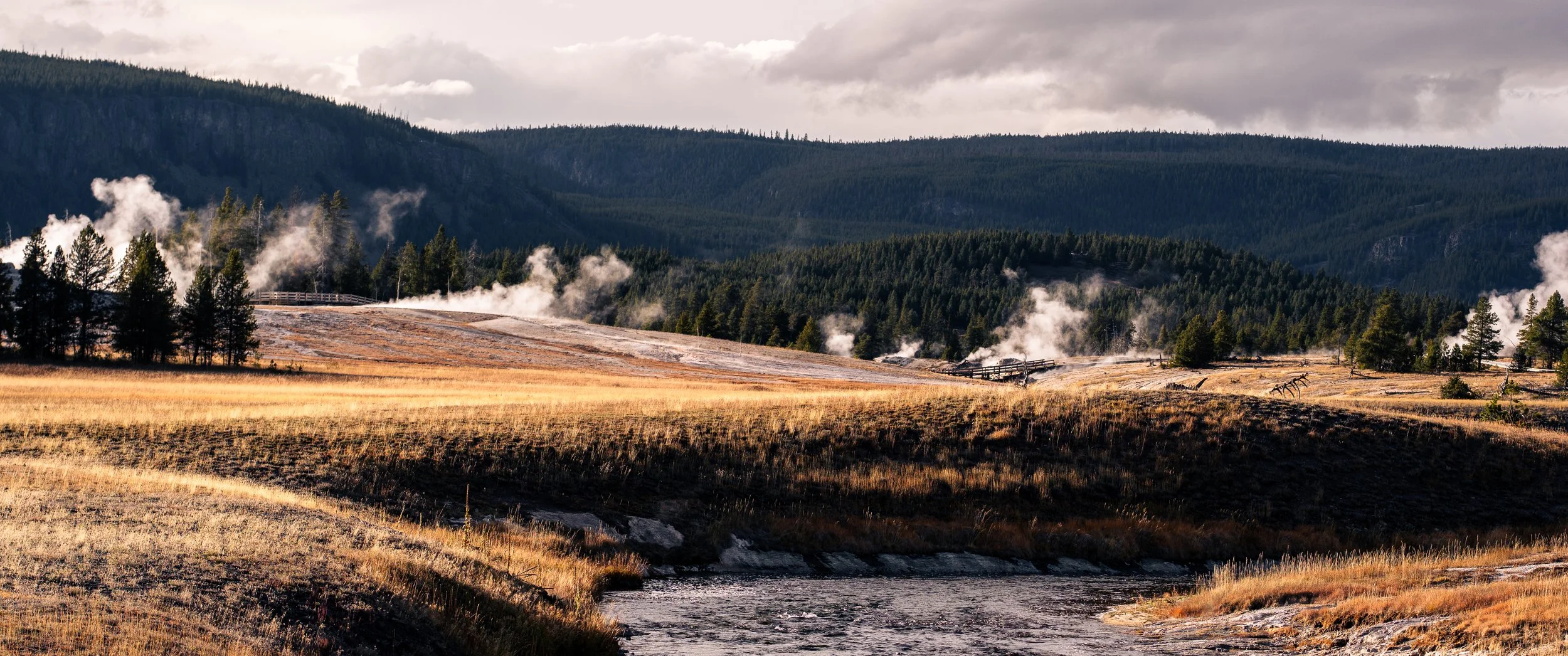 Yellowstone. A landscape with dry grassy fields with a river in the foreground, steam rising from geysers, dense pine forests, and mountain ranges in the background under cloudy skies.