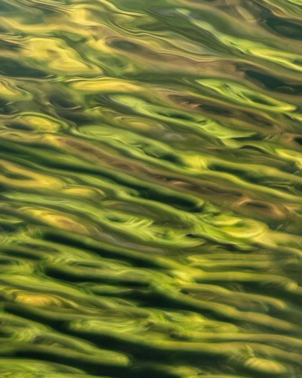 Close-up of water ripples, green reflections on the surface.