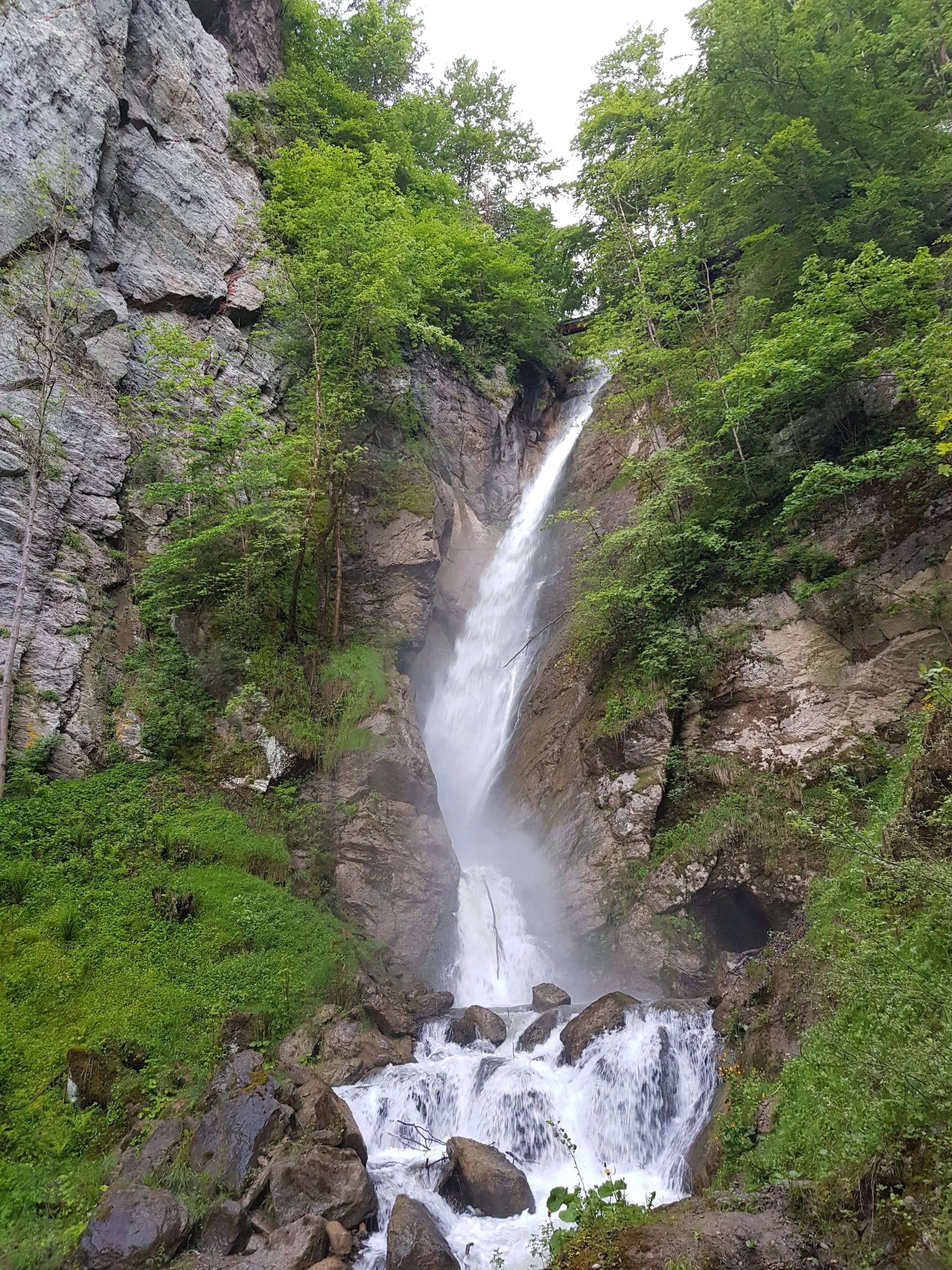 20190602_195523.jpeg