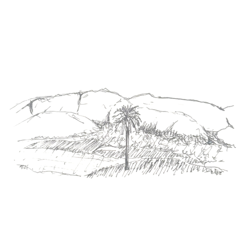 9.png