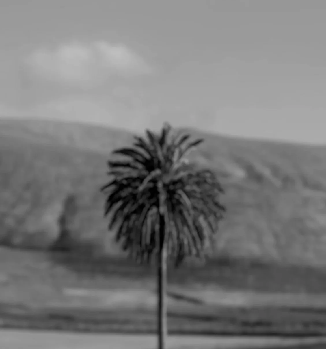 The Manifesto — Why Lanzarote?