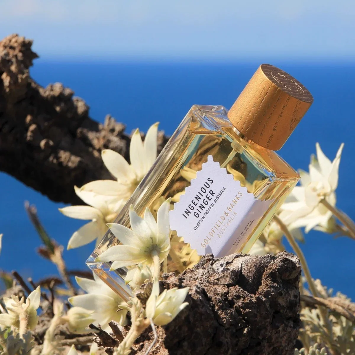 Season 7 • Episode 29: All About Layering