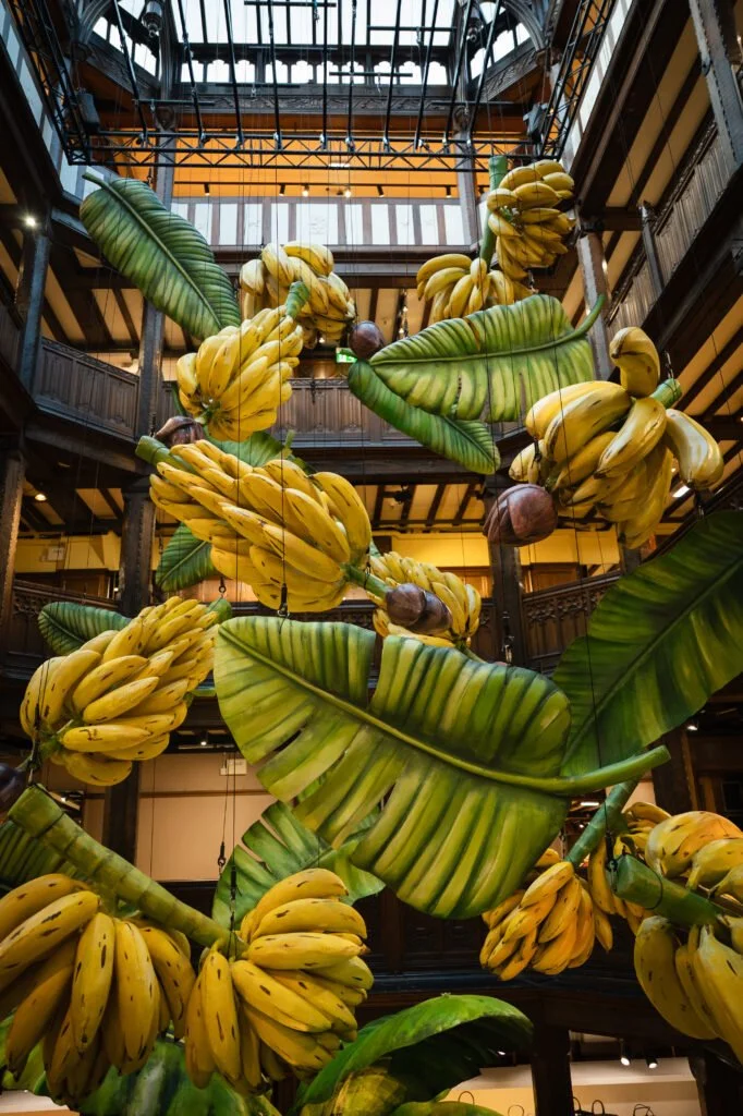 On The Scent… of NEWS: our round-up of fragrant excitement. (And yes, we have bananas.)